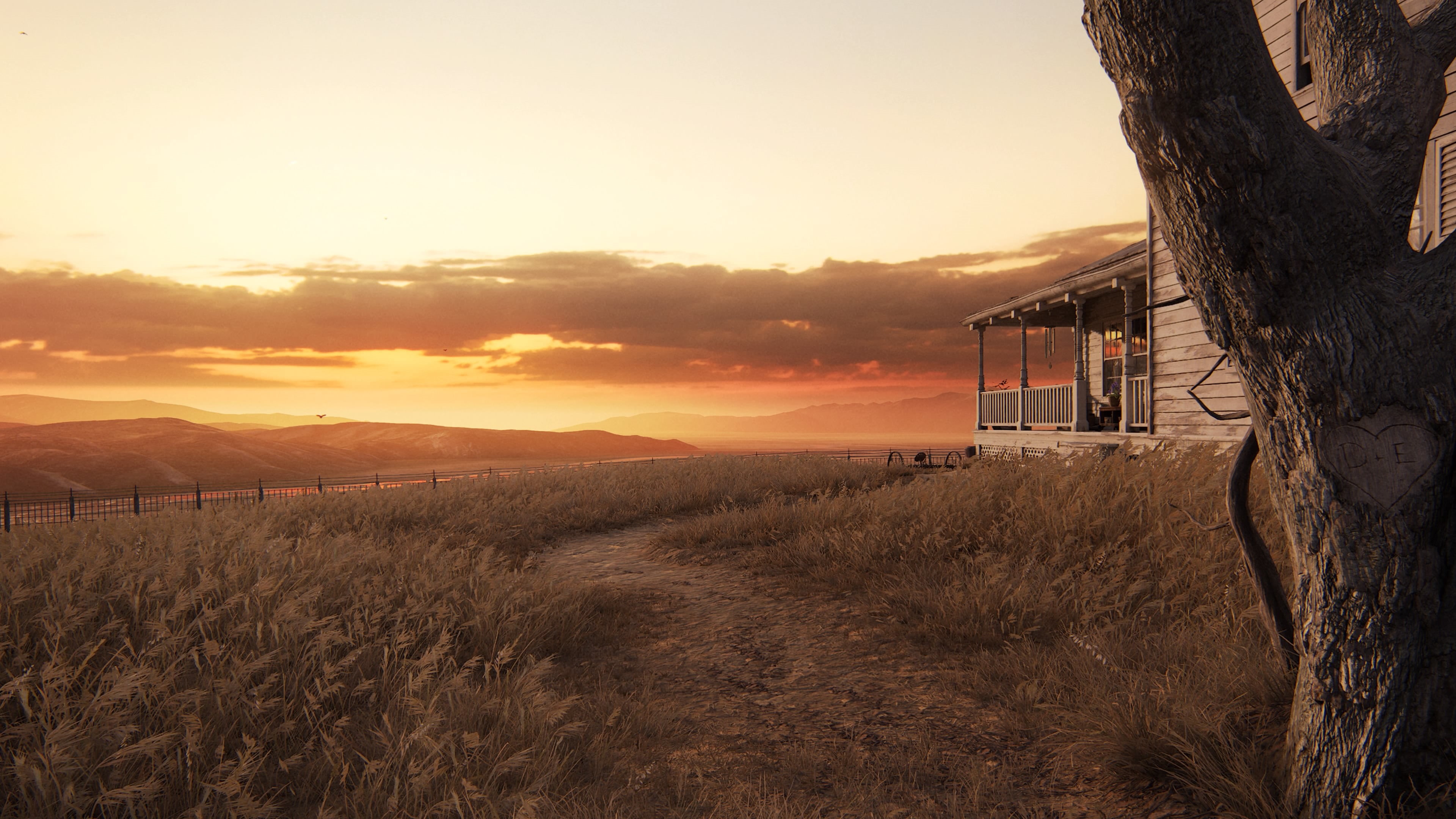 Naughty Dog, Playstation 4 Pro, 4K, The Last of Us 2, HD Wallpaper