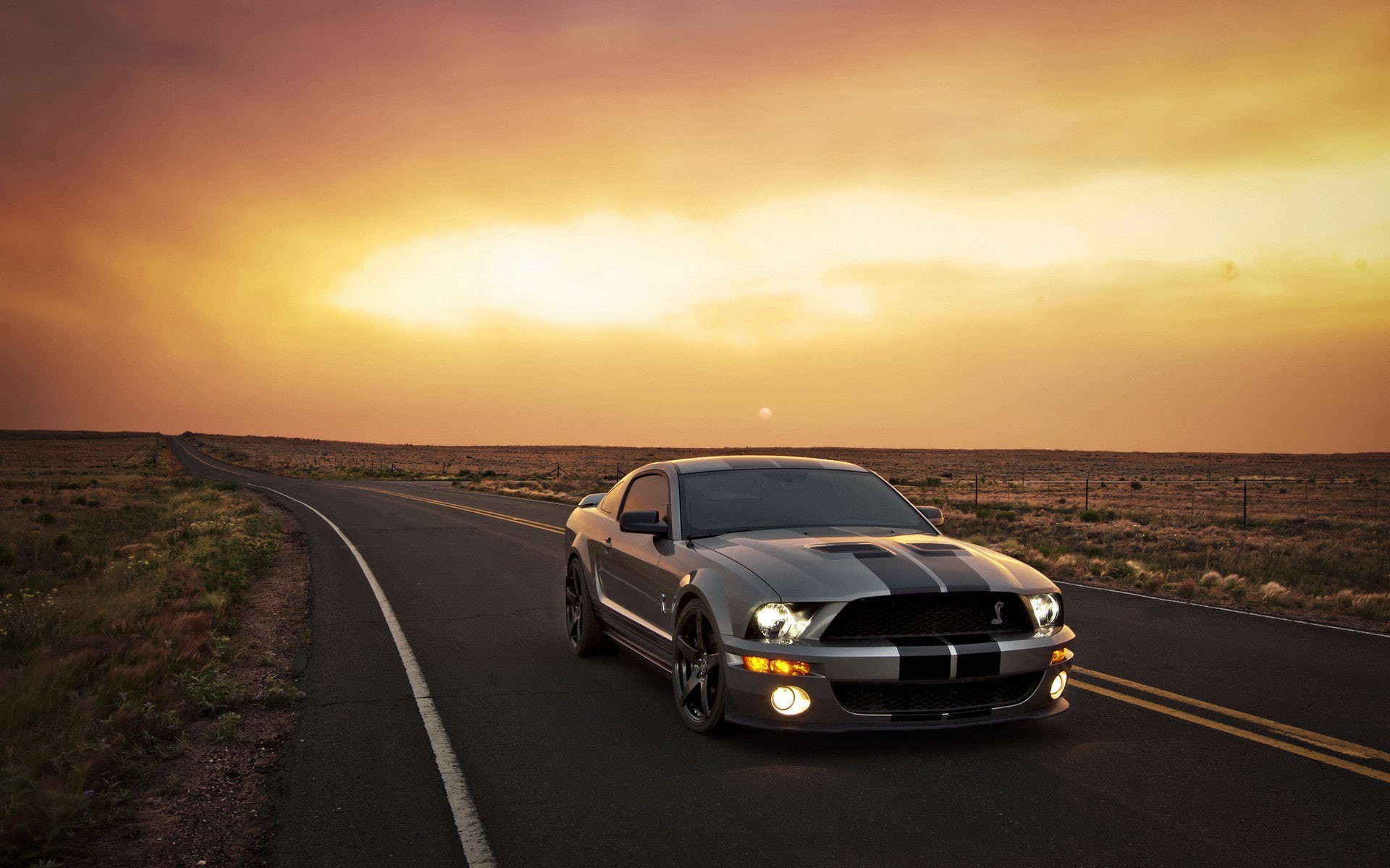 Ford Mustang, 1080P, car, mustang, background, ford, Sunset, HD Wallpaper