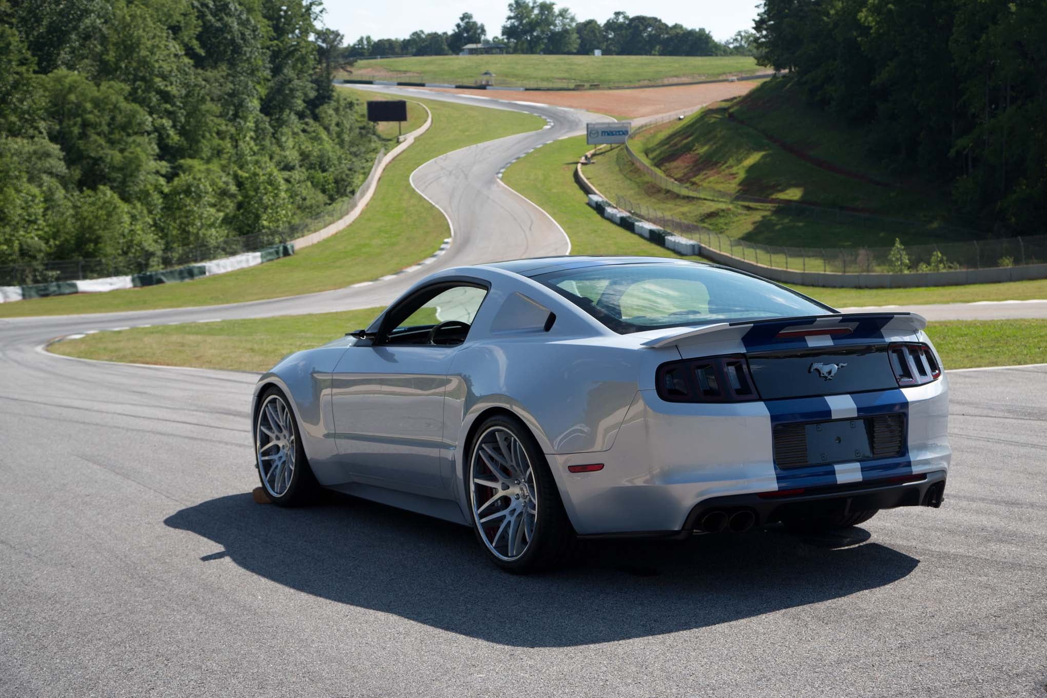luxury, plant, road, vehicle, ford, mustang, driving, muscle cars, gt, mode of transportation, motor vehicle, growth, land vehicle, car, green color, 1080P, HD Wallpaper