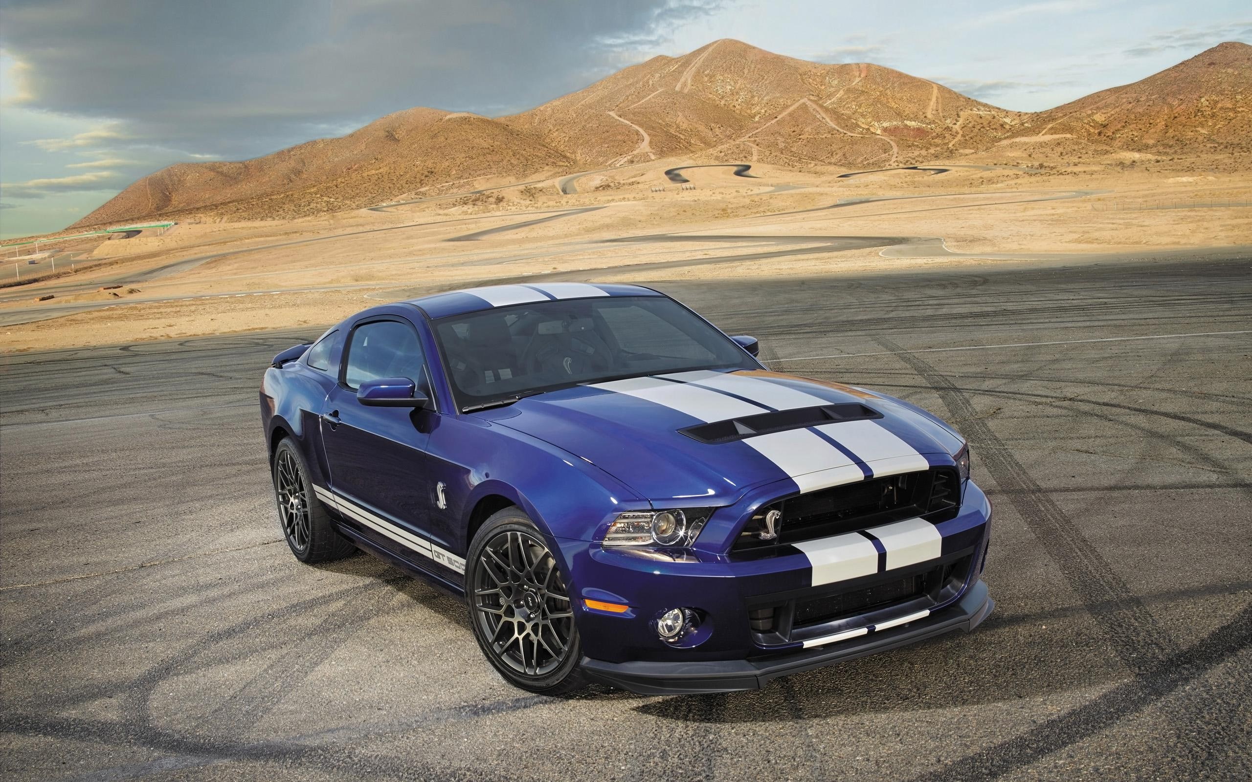 cars, cobra, mustang, shelby, 2014, gt, gt500, blue, ford, 2K, HD Wallpaper