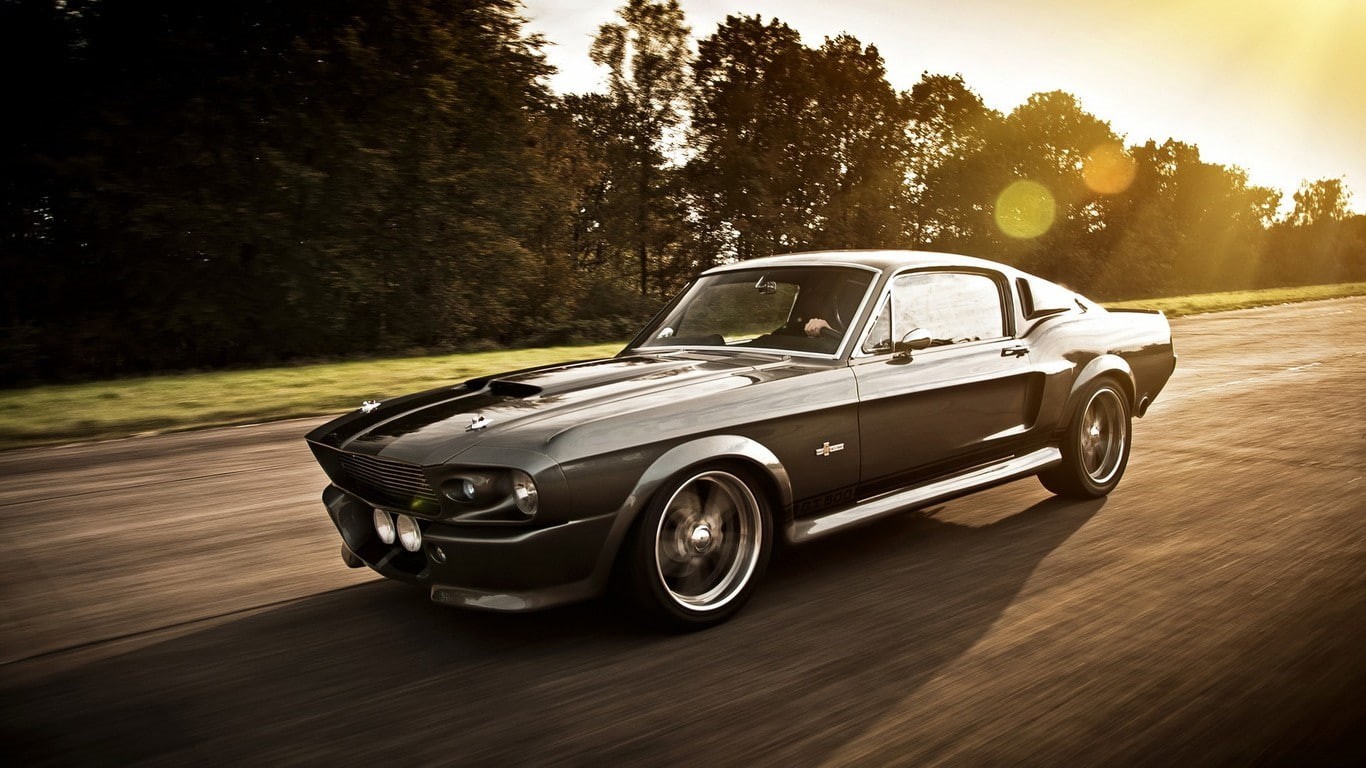 shelby, ford mustang shelby gt500, sunlight, 720P, ford, mustang, road, gt, car, HD Wallpaper