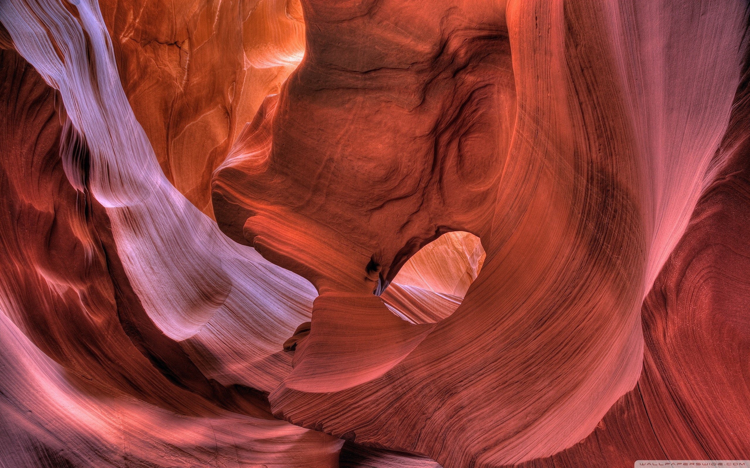 x, no people, travel destinations, Rock, 2K, Antelope Canyon, red, tranquility, solid, antelope, rock, 2560x1600 px, eroded, nature, geology, rock formation, HD Wallpaper
