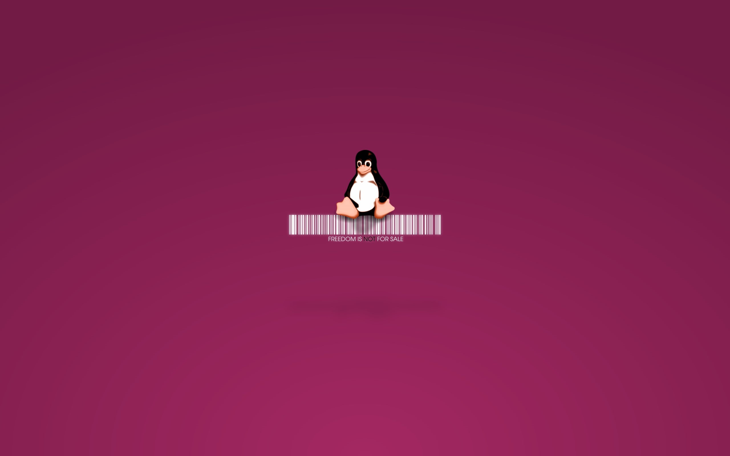 Tux, x, 2K, linux, anime, art, macross, 2560x1600 px, hd, px, HD Wallpaper