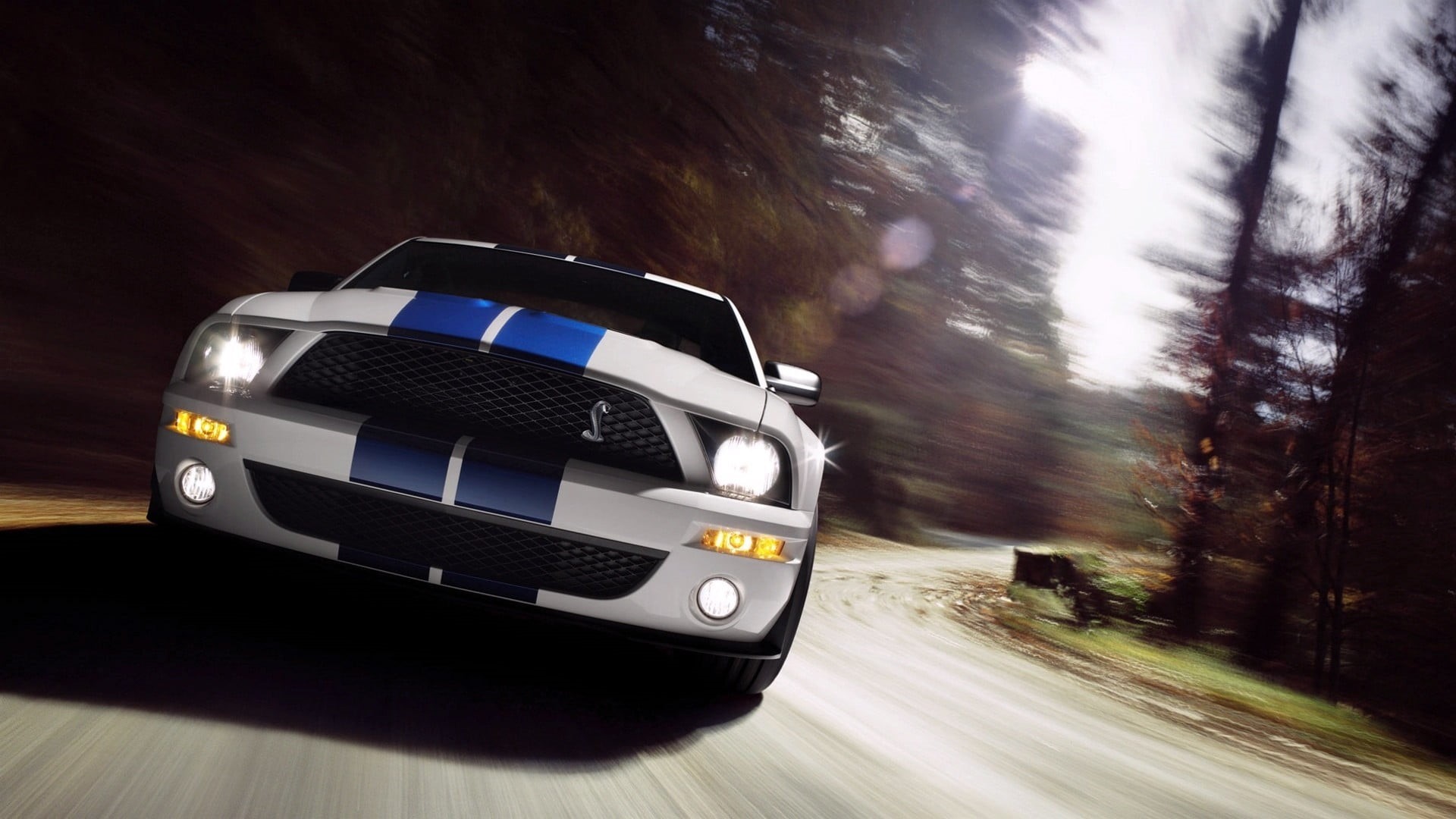 transportation, road, 1080P, racecar, muscle cars, mode of transportation, sports car, wheel, driving, mustang, land vehicle, outdoors, ford, white, motorsport, HD Wallpaper