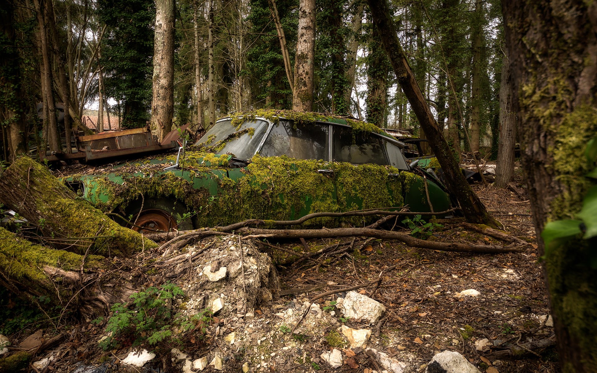 trees, abandon, nature, 1080P, hd, overgrowth, classic, car, deserted, forest, HD Wallpaper