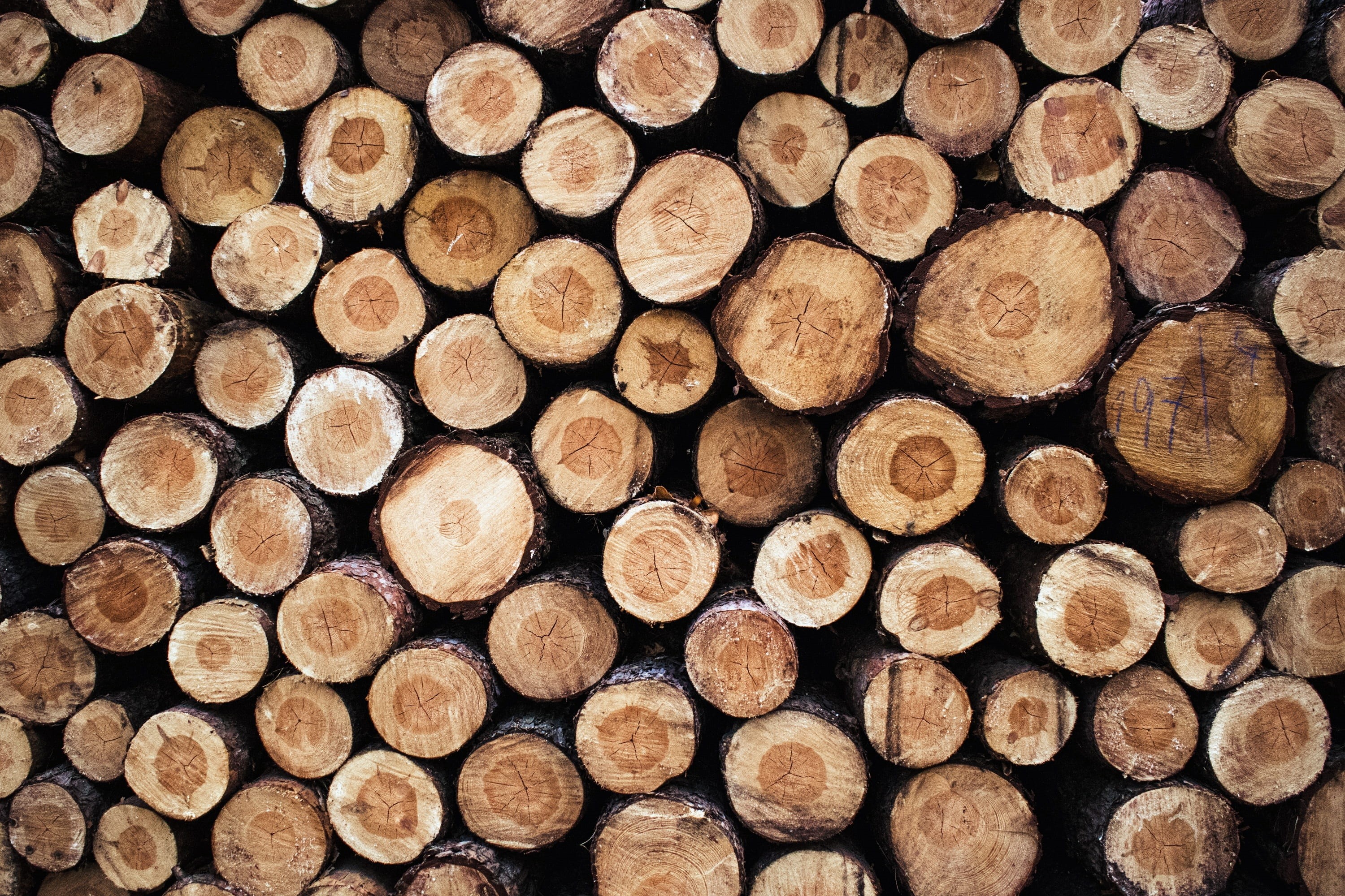 log, gardening, backgrounds, tree, deforestation, cut, 2K, woodpile, shape, slice, sawn timber, outdoors, fuel and power generation, forest, abundance, HD Wallpaper