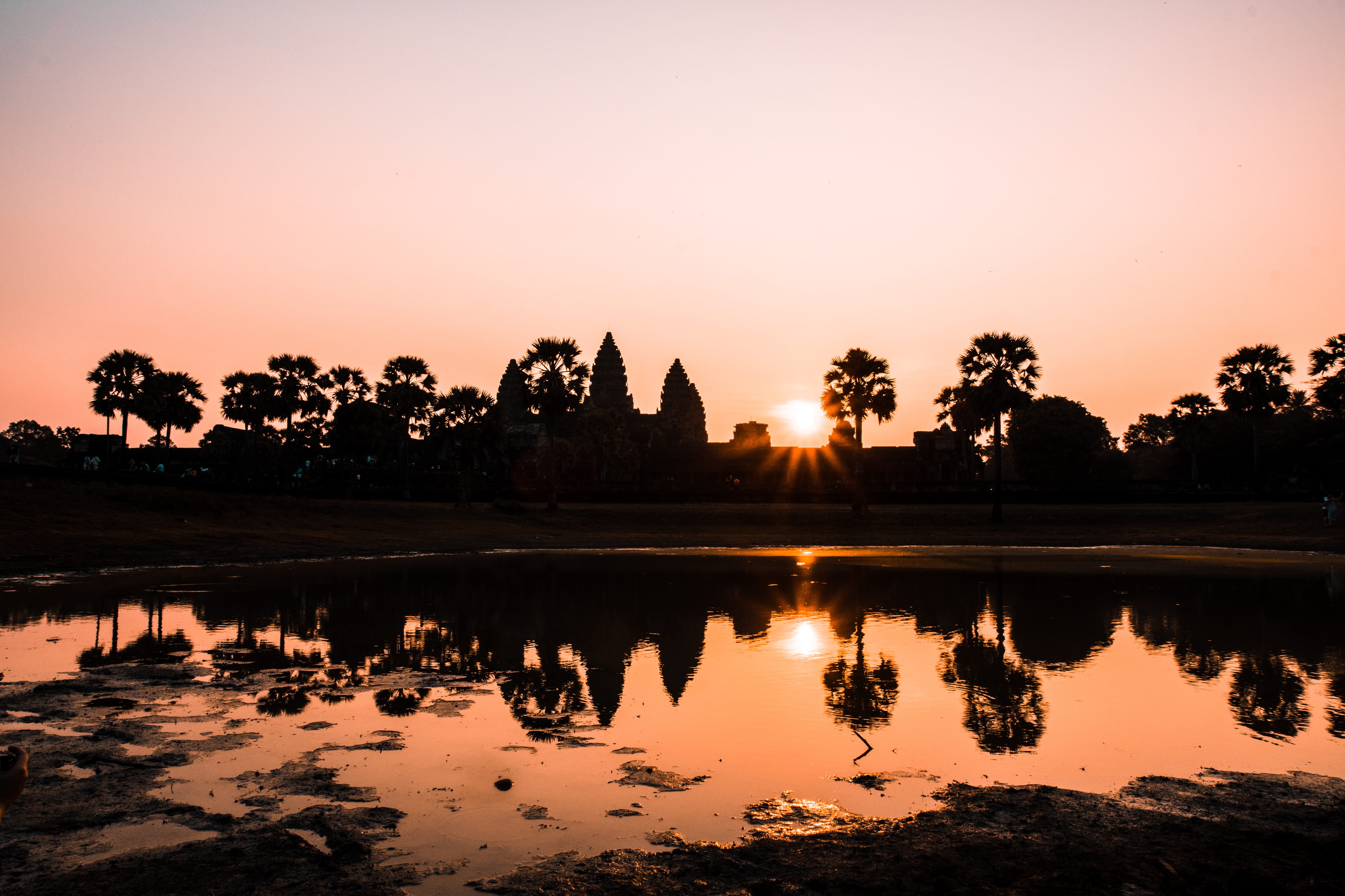 tree, ancient, red sky, southeast asium, plant, 5K, outdoors, idyllic, krong siem reap, standing water, dusk, nature, beauty in nature, tranquility, orange color, HD Wallpaper
