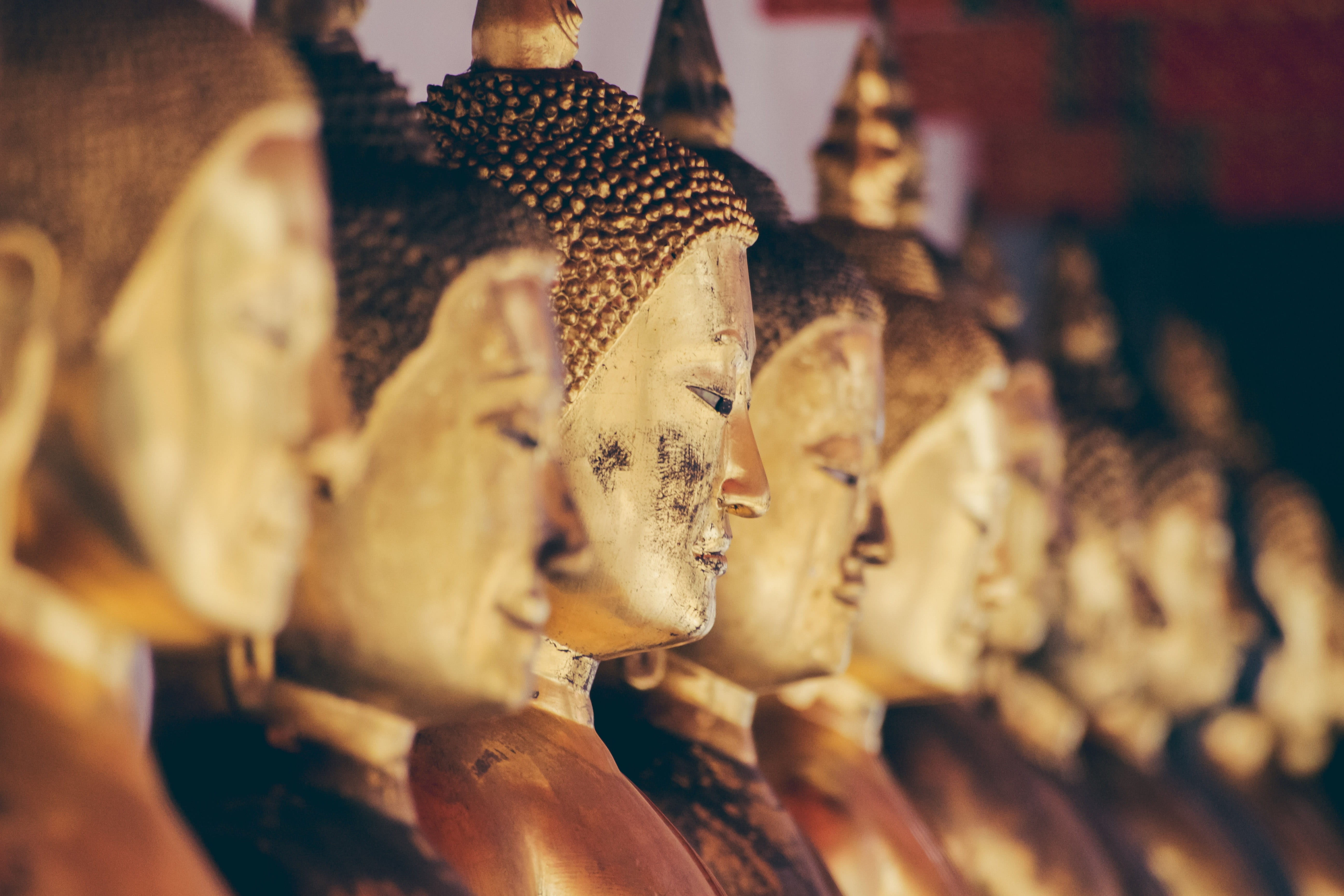 spirituality, large group of objects, shift, nose, eye, tilt, brass, belief, abundance, representation, statue, creativity, in a row, selective focus, gautama, HD Wallpaper