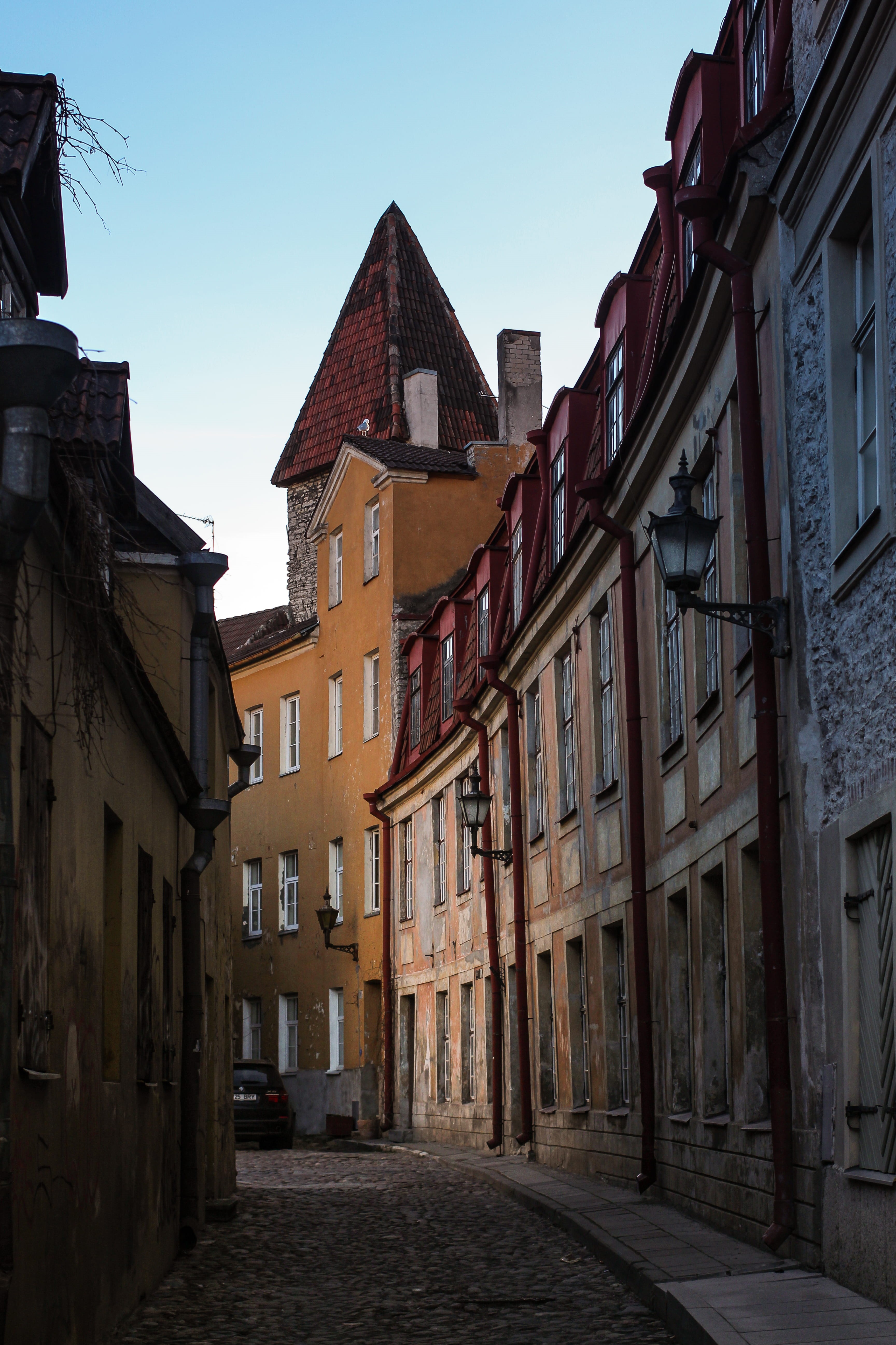 cobbled street, residential district, low angle view, direction, photography, alley, window, tallinn, architecture, narrow, tight, building, clear sky, Phone HD Wallpaper