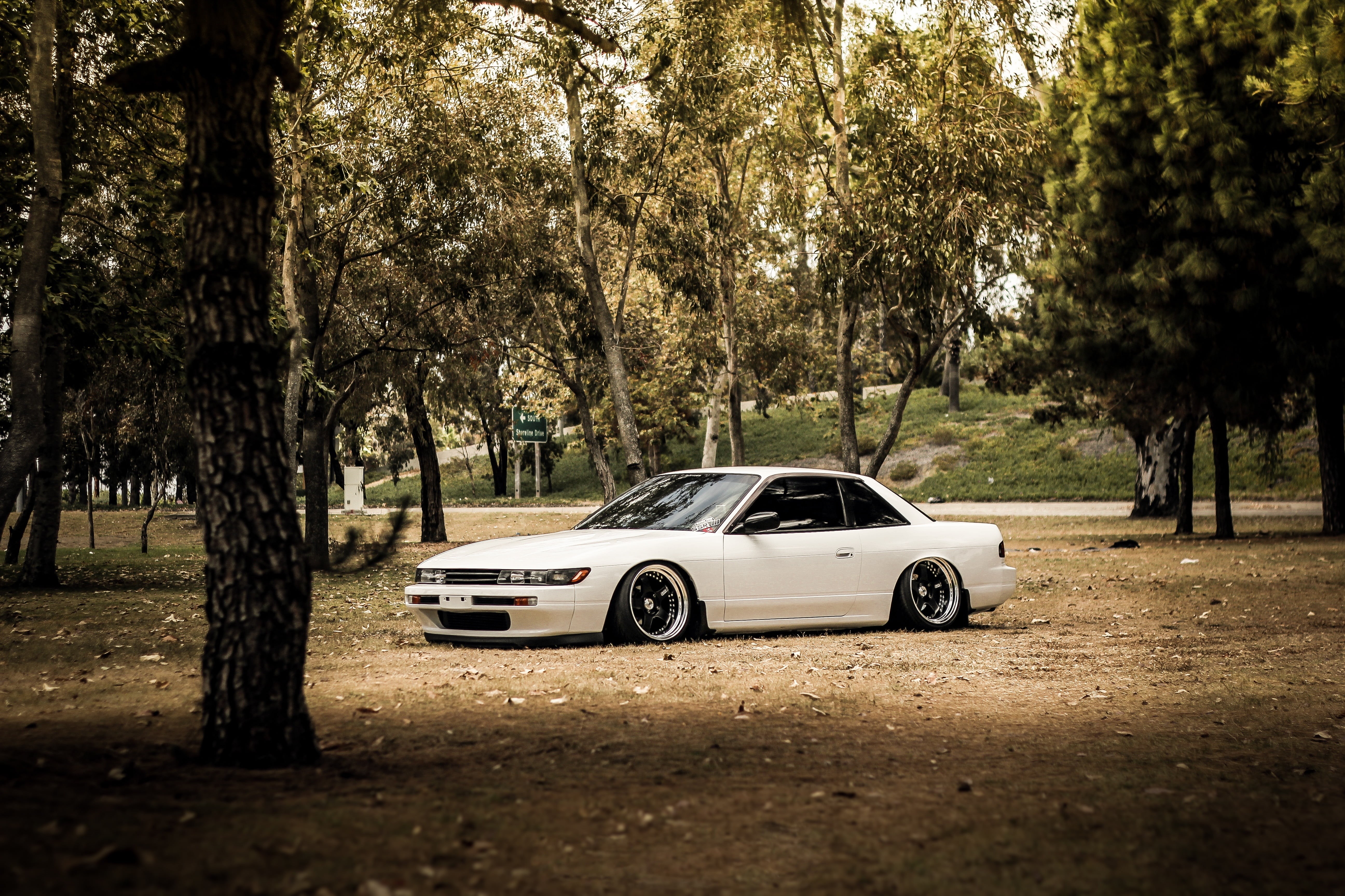 coupe, Nissan, car, tree trunk, transportation, tree, land Vehicle, driving, nature, motor vehicle, trees, urban Scene, forest, road, Silvia, mode of Transport, HD Wallpaper