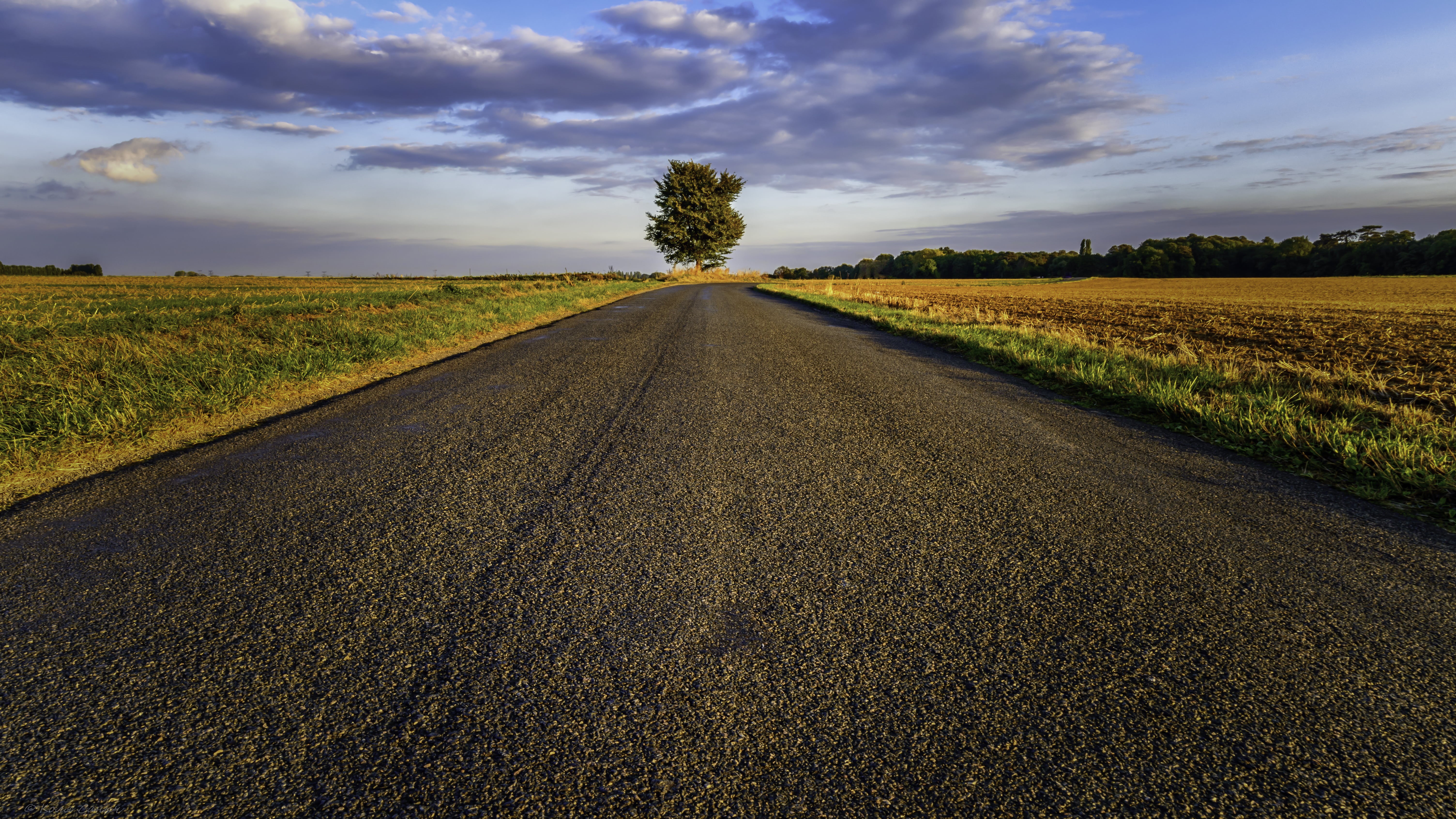landscape, blue, sky, field, land, outdoors, road, grass, cloud - Sky, 5K, summer, path, farm, nature, rural Scene, concreted, grasses, agriculture, asphalt, HD Wallpaper