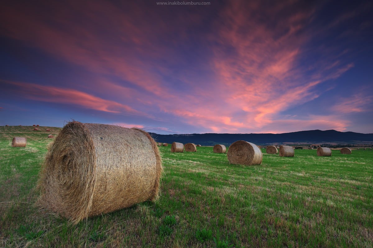 hay, HARVEST TIME, basque country, gold Colored, light, meadow, agriculture, clouds, álava  araba, agurain, agricultura, golden hour, nature, field, golden, HD Wallpaper