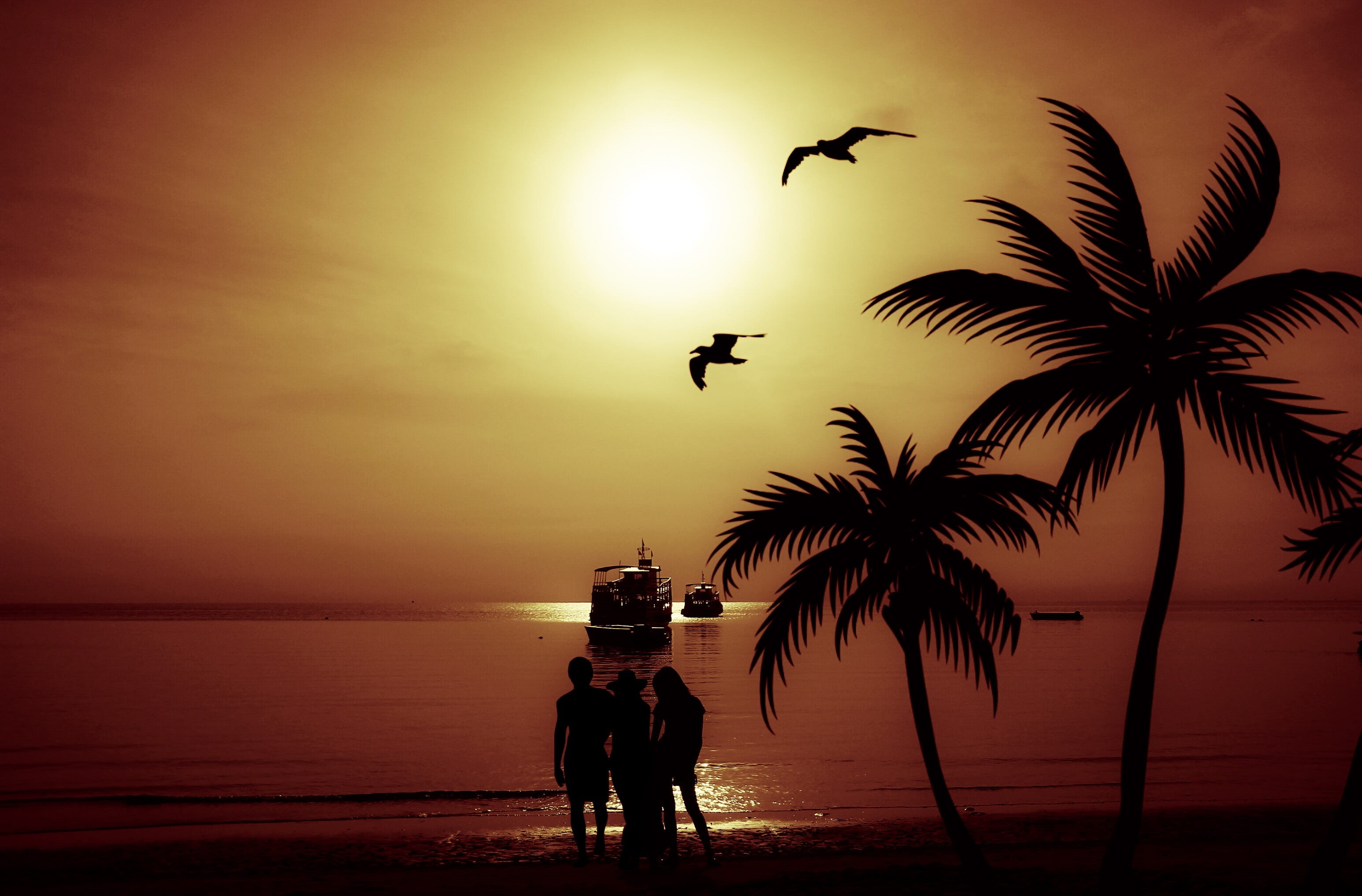 girls, parent, tree, summer, females, father, palm, sea, real people, sky, lifestyles, night, nature, two people, palm tree, vertebrate, tropical climate, HD Wallpaper
