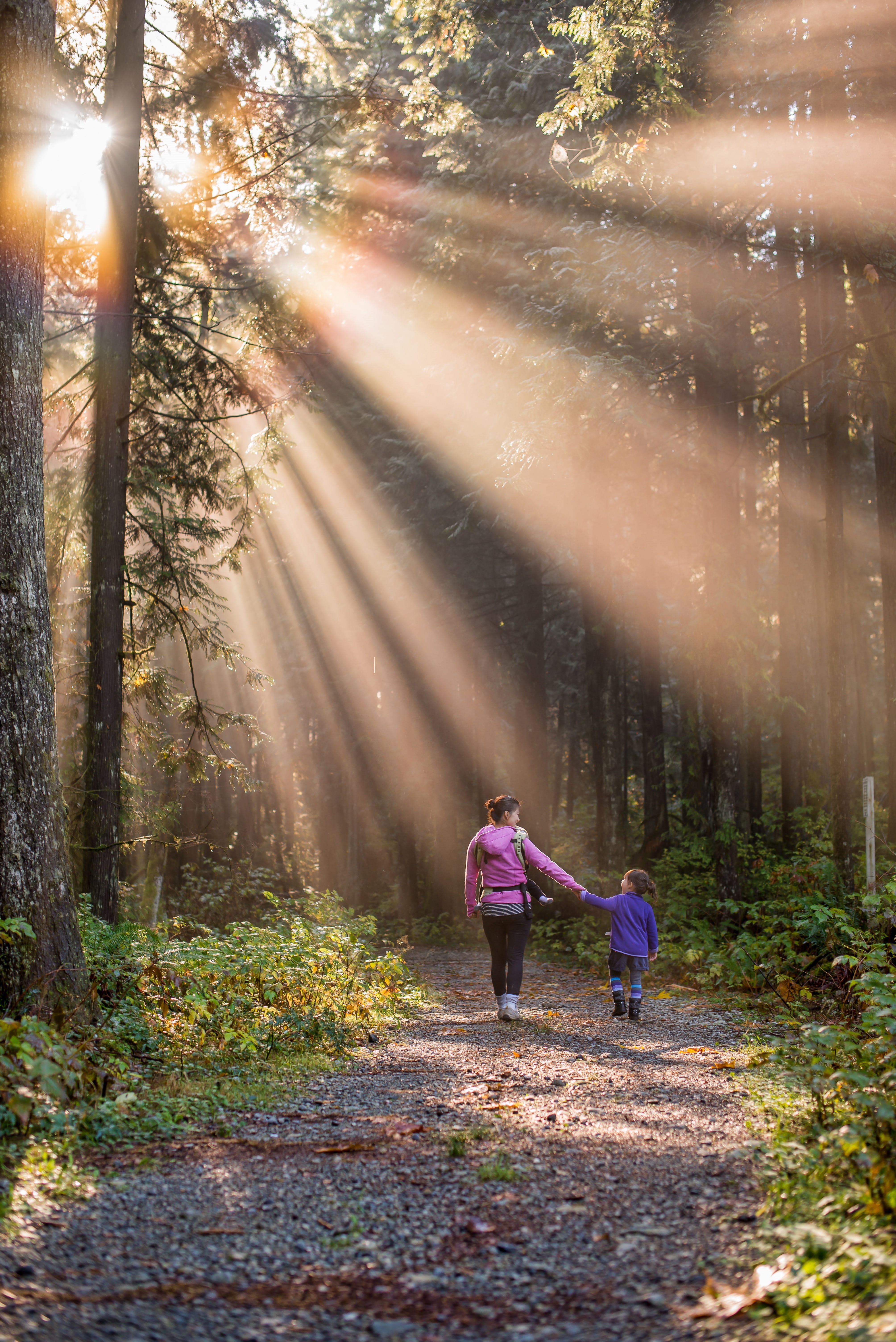 love, walk, female, light, one woman only, adult, two, path, british columbia, beauty, happy, green, outdoors, woods, woodland, holding, outdoor, parent, Phone HD Wallpaper