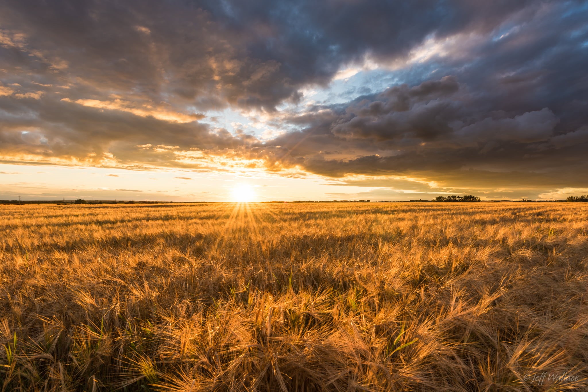 sunlight, farm, columbus, Saint Albert  Alberta, landscape, wheat  field, clouds, landscape photography, dusk, cloud - Sky, Canada, photography, CA, Sunburst, HD Wallpaper