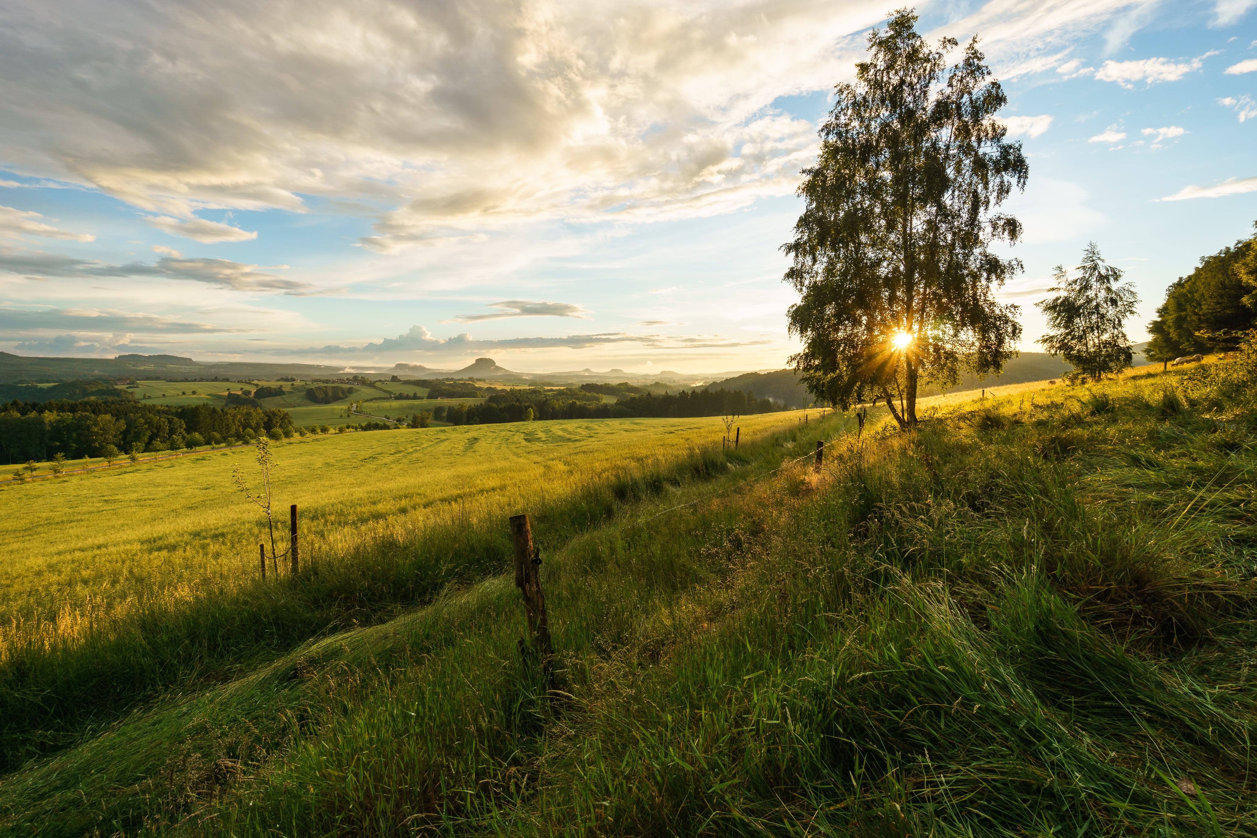 Elbsandsteingebirge, sunset, summer, Birke, Sächsische-Schweiz, Bäume, Wolken, golden, 4K, field, green field, sky, Felder, Clouds, tree, Altendorf, Saxony, HD Wallpaper
