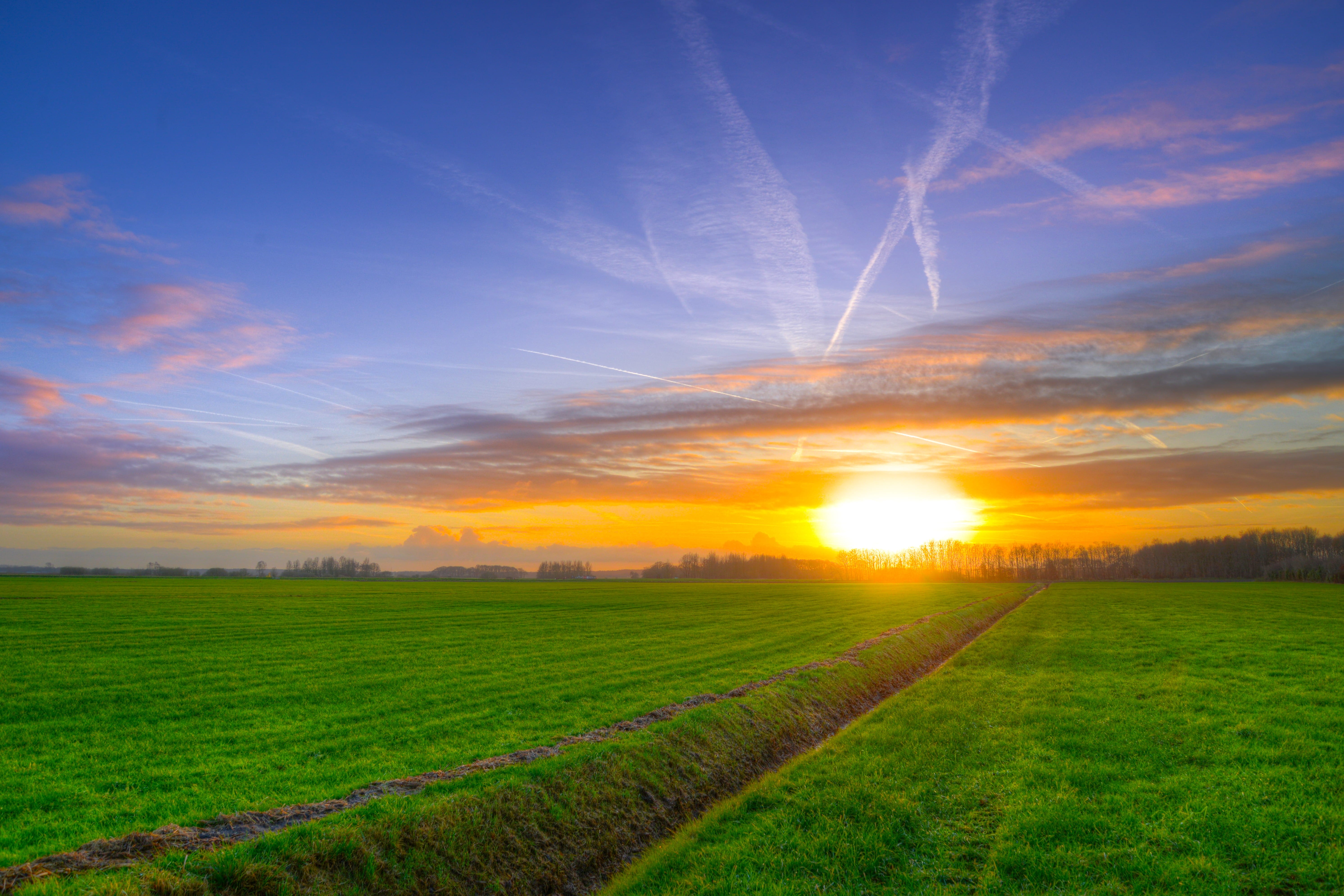 scenics - nature, hour, pasture, landscape, tranquil scene, no people, countryside, grass, rural scene, farmland, plant, dawn, golden, cloud - sky, dusk, HD Wallpaper