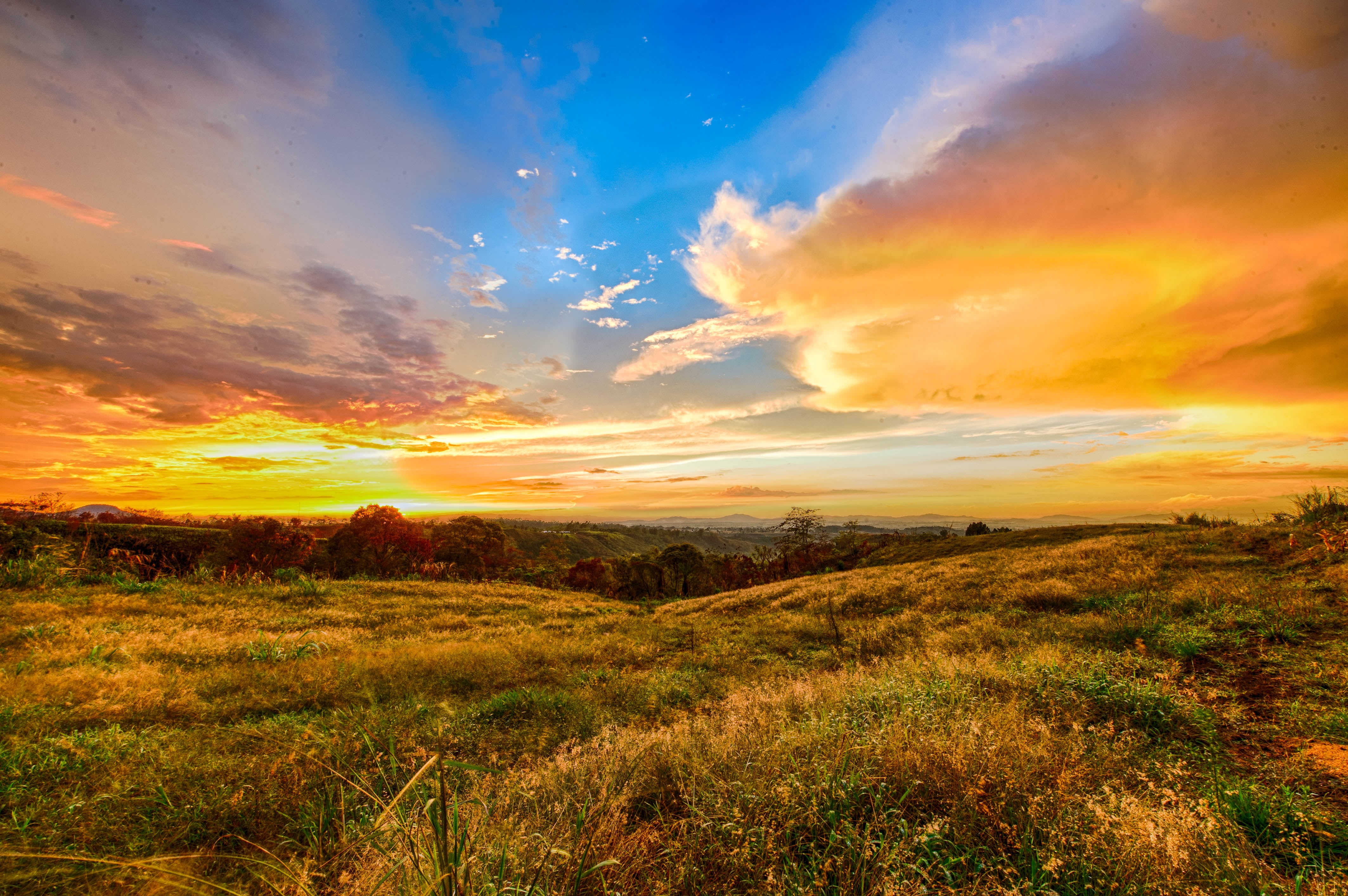 sunset, philippines, sunrise - Dawn, grass, golden, beauty In Nature, scenics, light - Natural Phenomenon, photography, yellow, summer, Edit, outdoors, HD Wallpaper