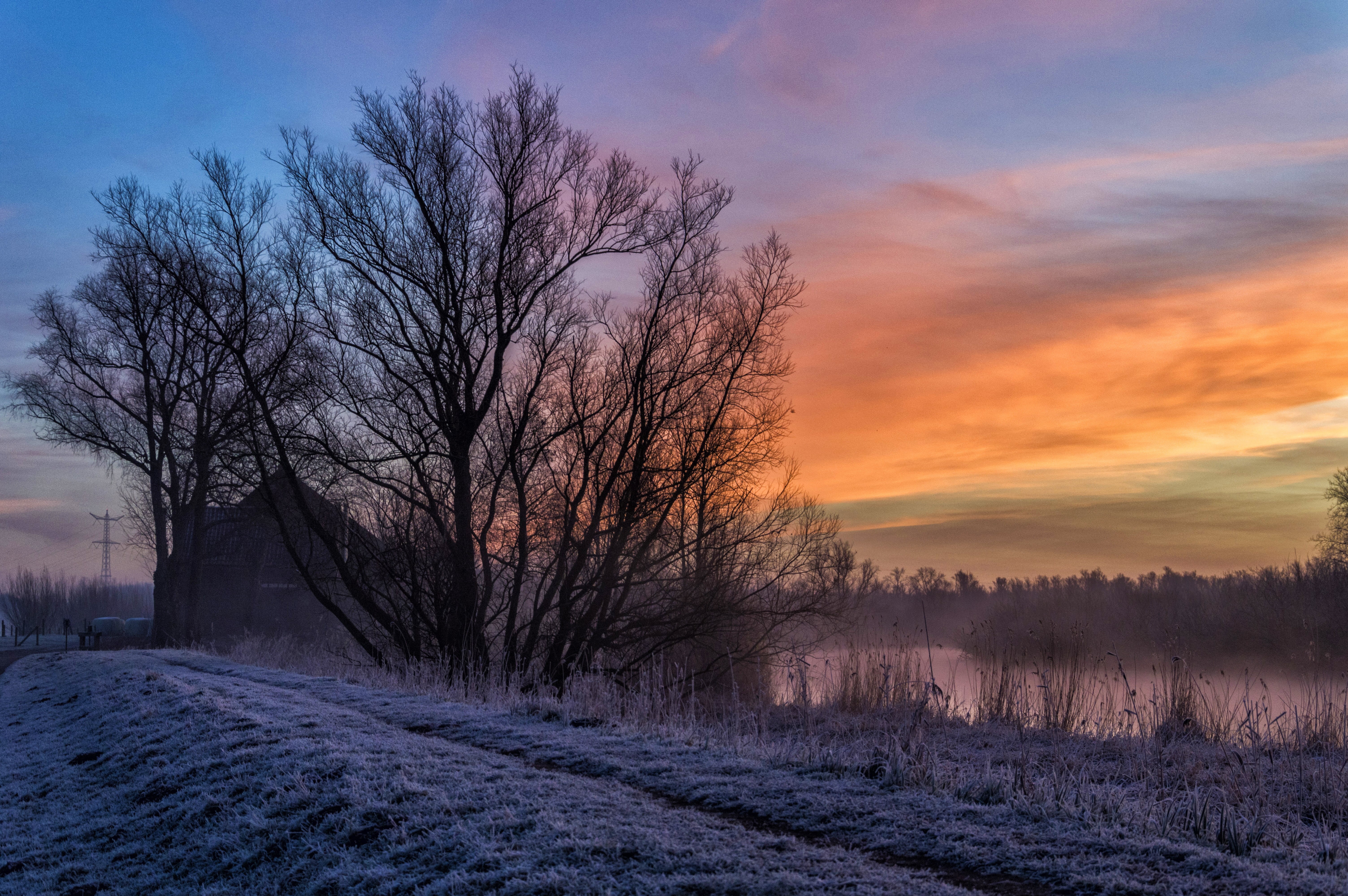 hour, 5K, nature  photography, Pada, willow, sky, van de Velde, scenics, vorst, cold - Temperature, clouds, season, Sunrise, glow, photography, dusk, Nikon, HD Wallpaper