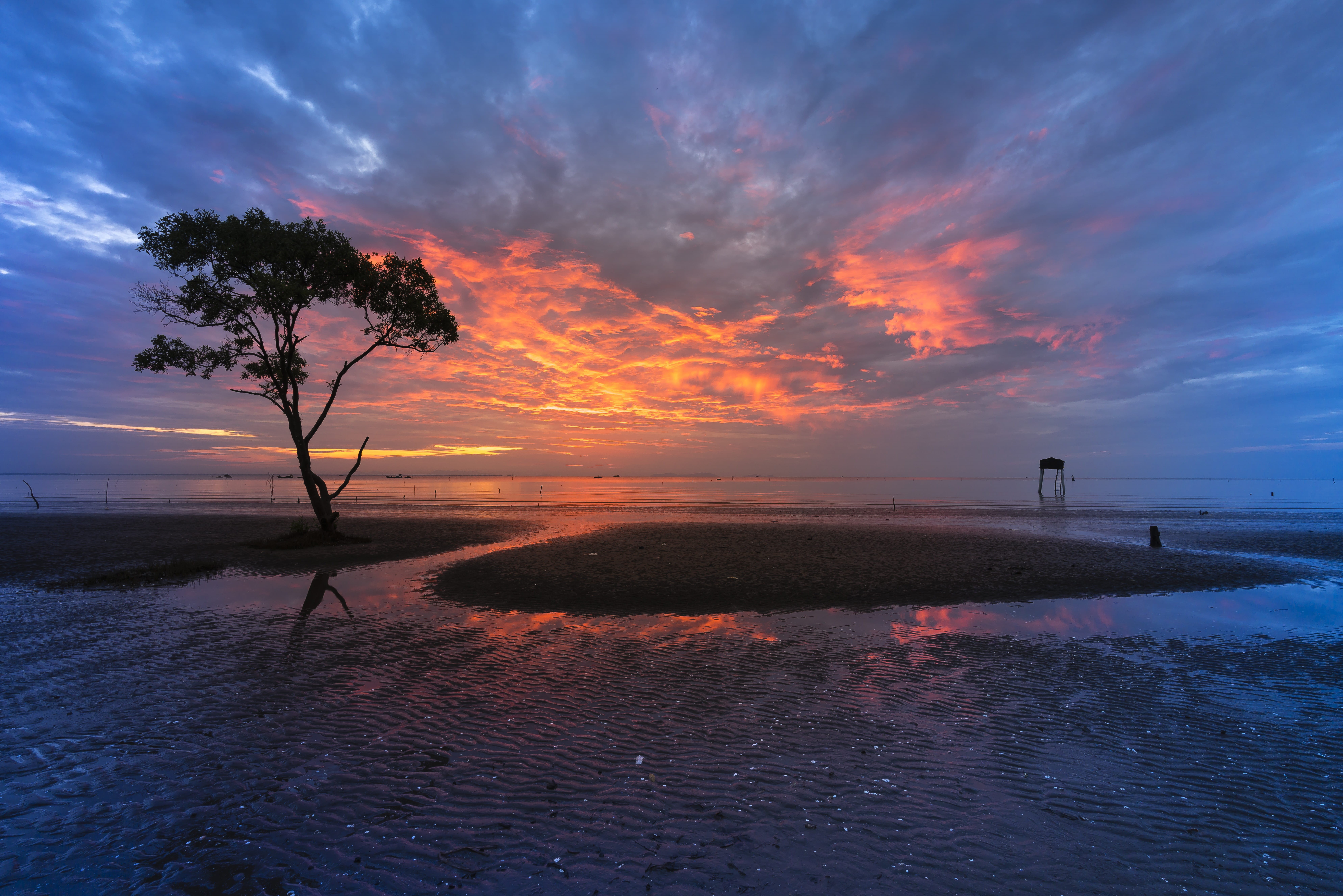 the waves, vietnam, evening, reflect, background, cloud - sky, tranquility, swamp, the sun, scenics - nature, sunrise, sea, non-urban scene, clouds, outdoors, HD Wallpaper