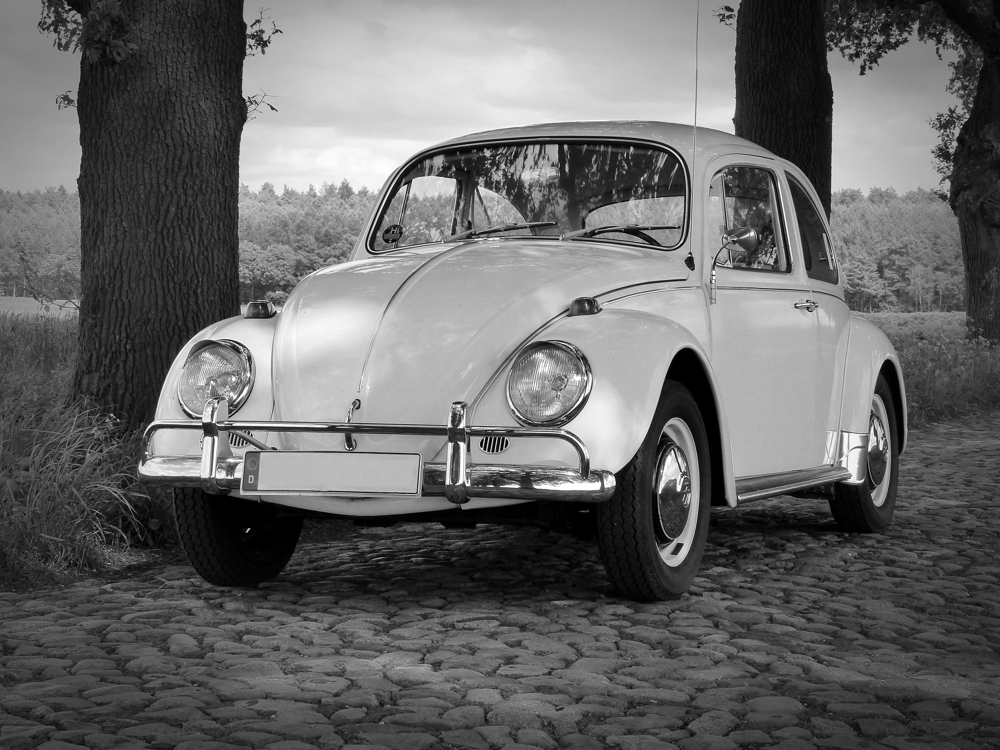 no people, stationary, day, vw, plant, oldtimer, tree trunk, 4K, herbie, classic, tree, vintage car, wheel, tire, street, luxury, silver colored, outdoors, HD Wallpaper