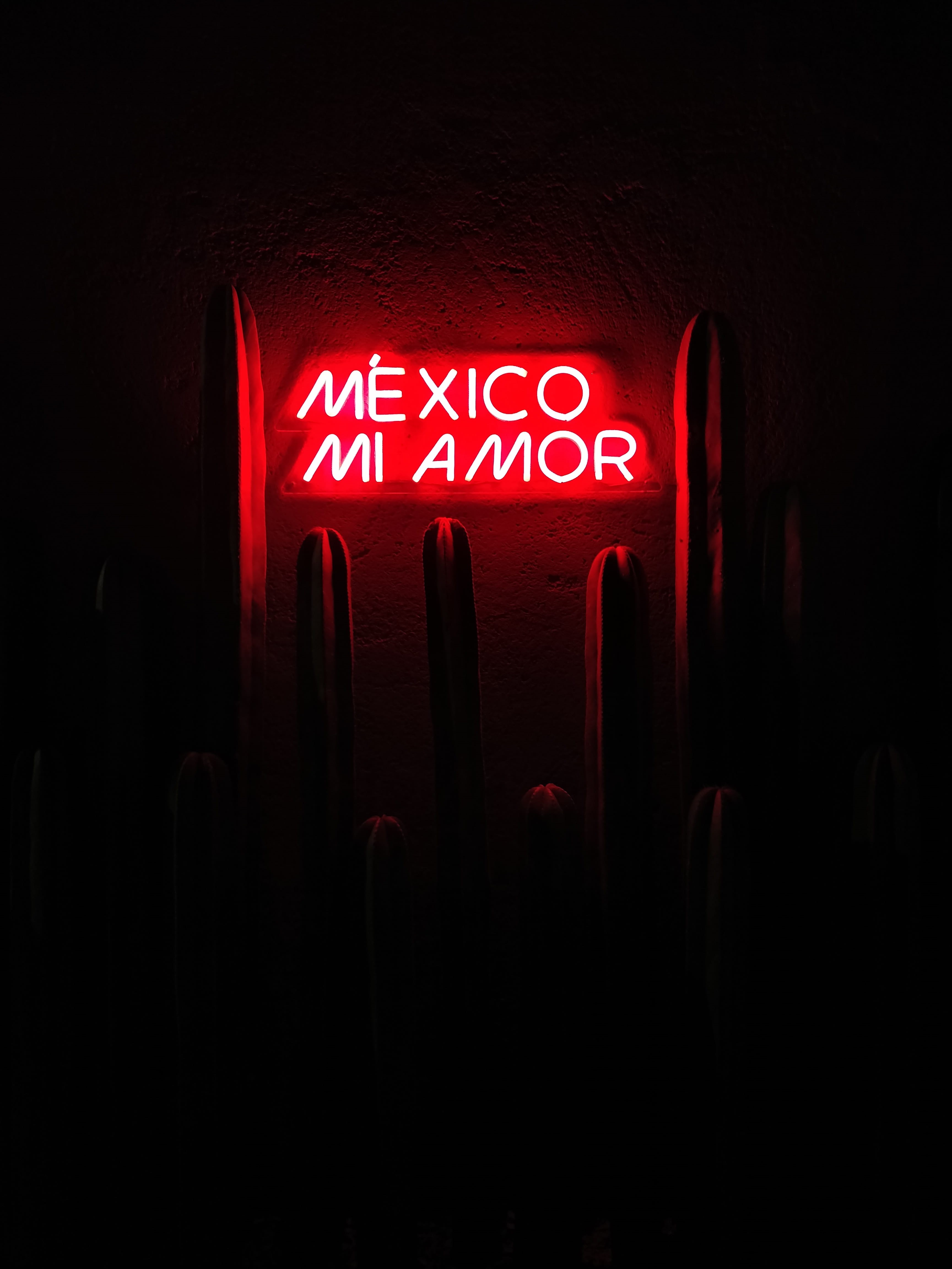 neon sign, color, conceptual, mexico, technology, mi, exit sign, dark, communication, no people, amor, neon, night, design, architecture, led, illuminated, Phone HD Wallpaper