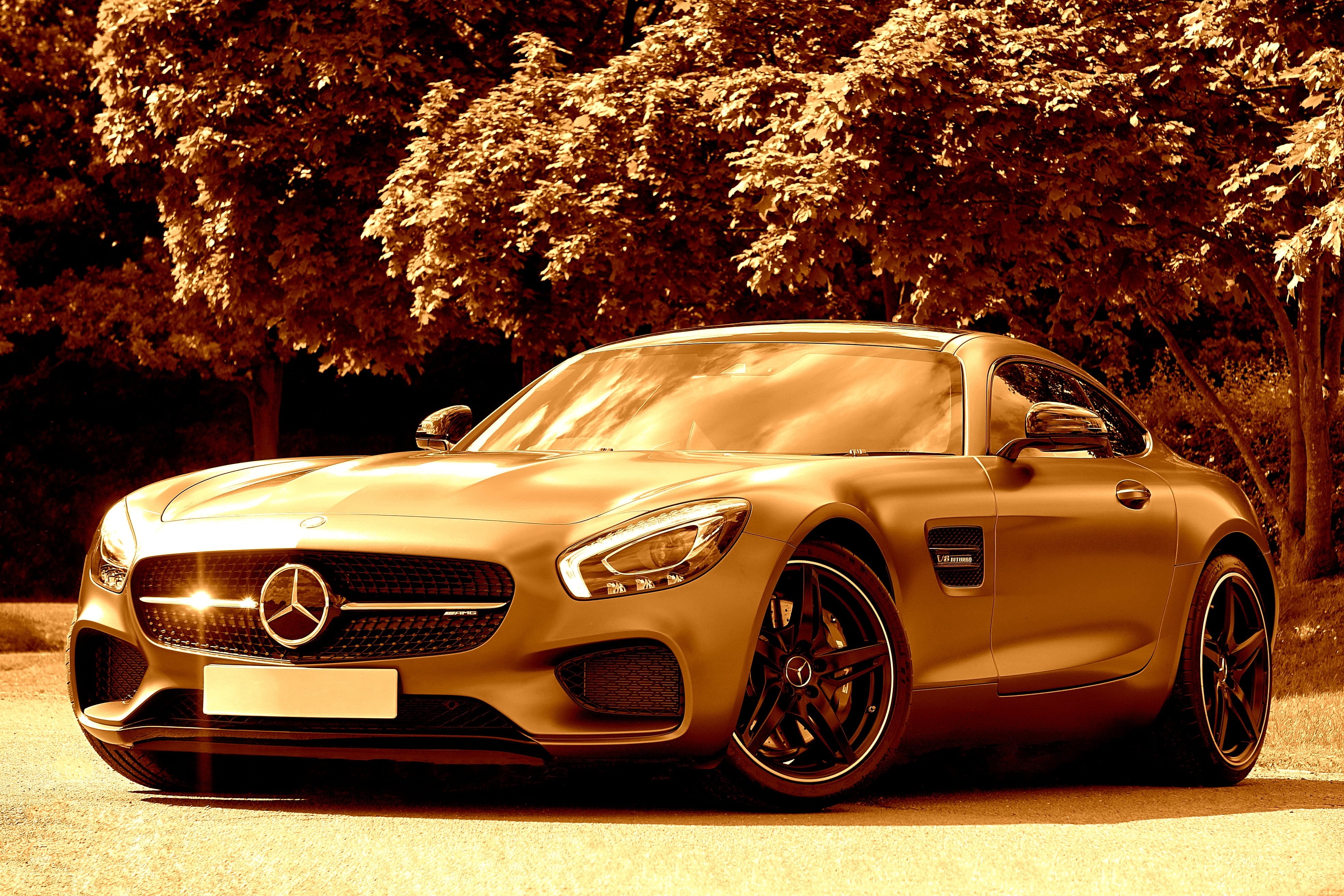 tire, performance, amg gts, sepia, metallic, coupe, motor, power, tree, race, outdoors, yellow, style, sport, expensive, vintage car, modern, elegant, auto, HD Wallpaper