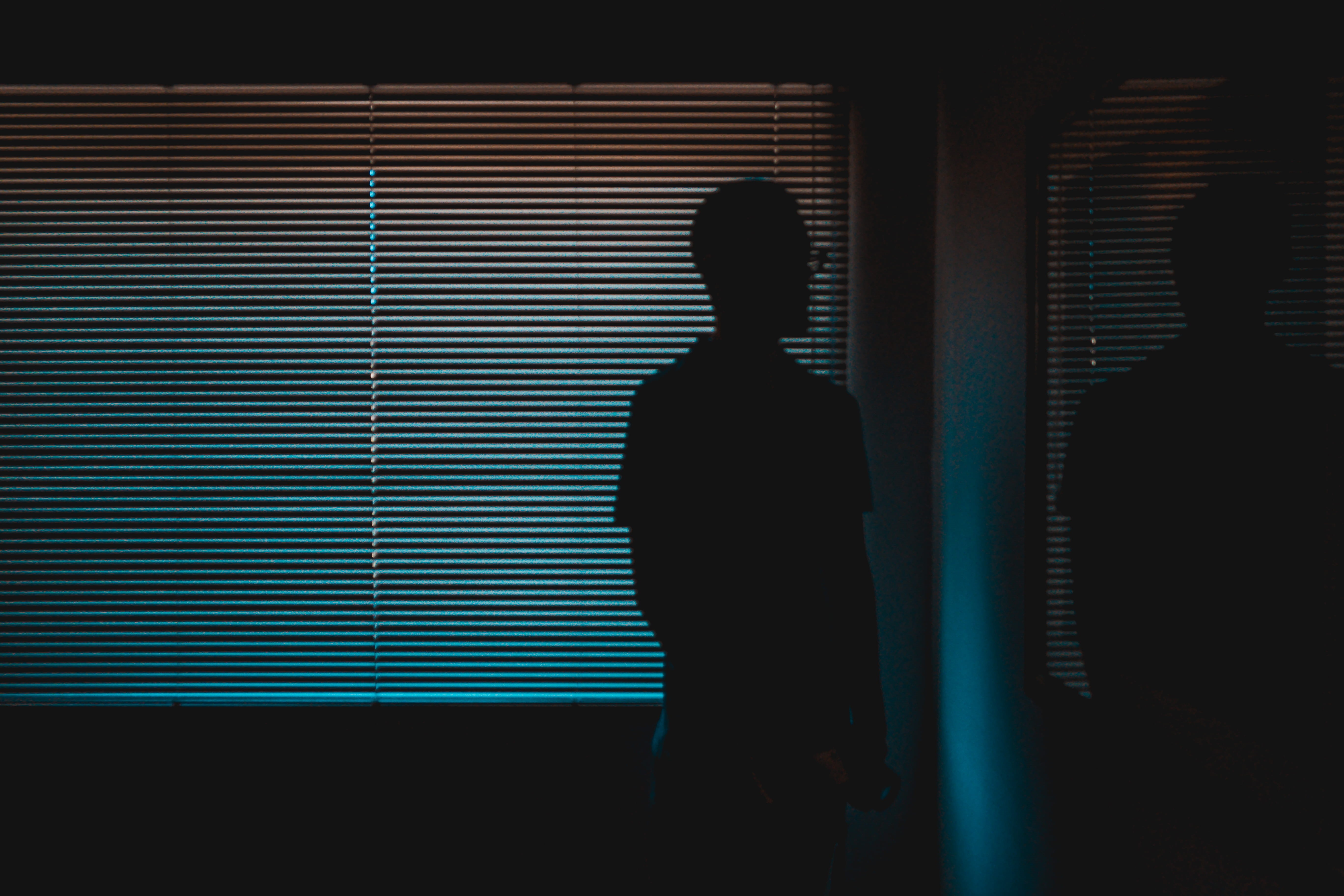 silhouette, room, rear view, dark, indoors, jordan, glasses, lightroom, real people, window, man, vinyl, architecture, adult, near, moody, jordan national gallery of fine arts, HD Wallpaper