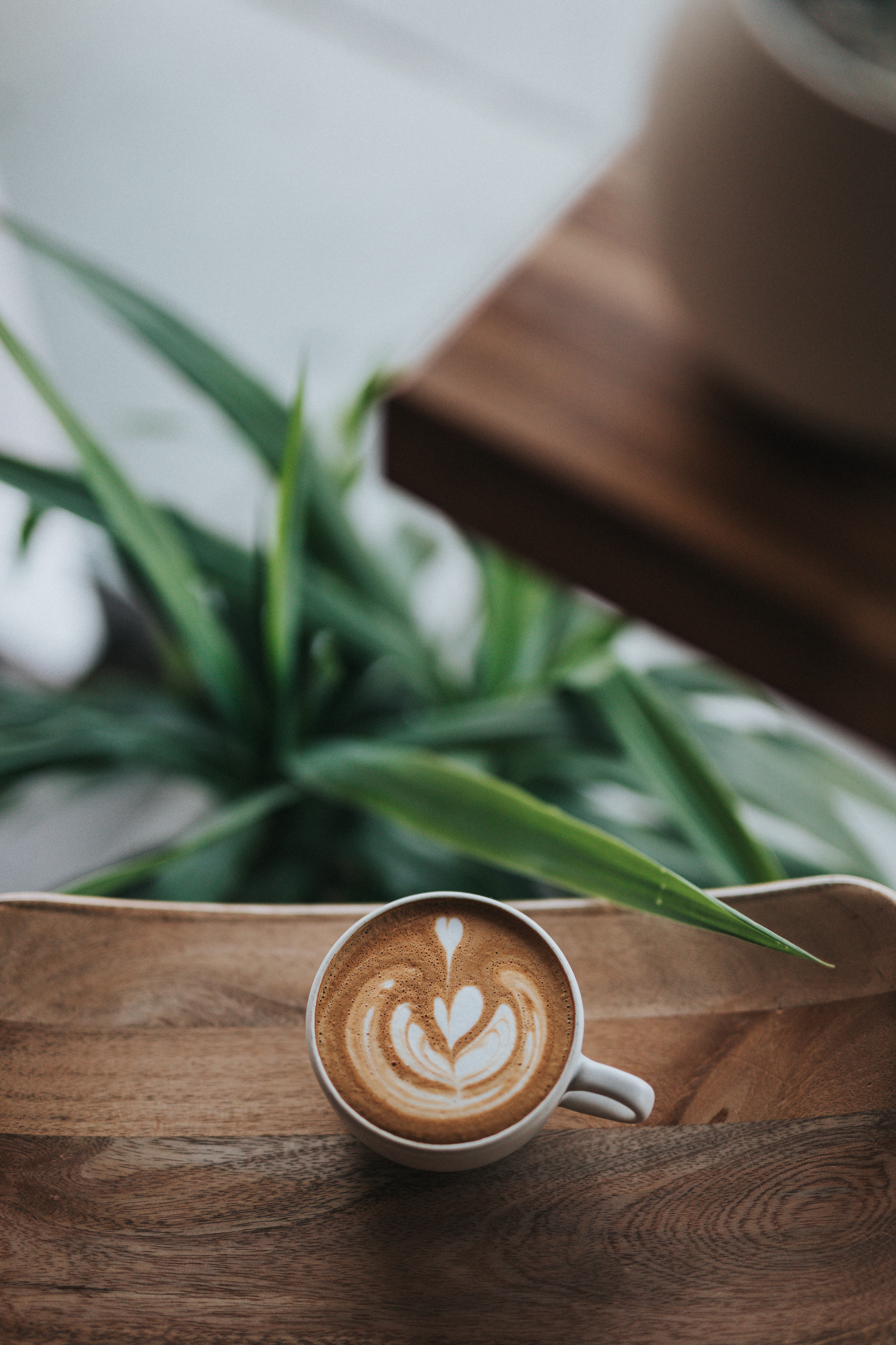 tilt, latte, cappuccino, photograph, indoors, creativity, table, wooden, modern coffee, froth art, coffee, modern, coffee mamn, coffee shop interior, crockery, Phone HD Wallpaper