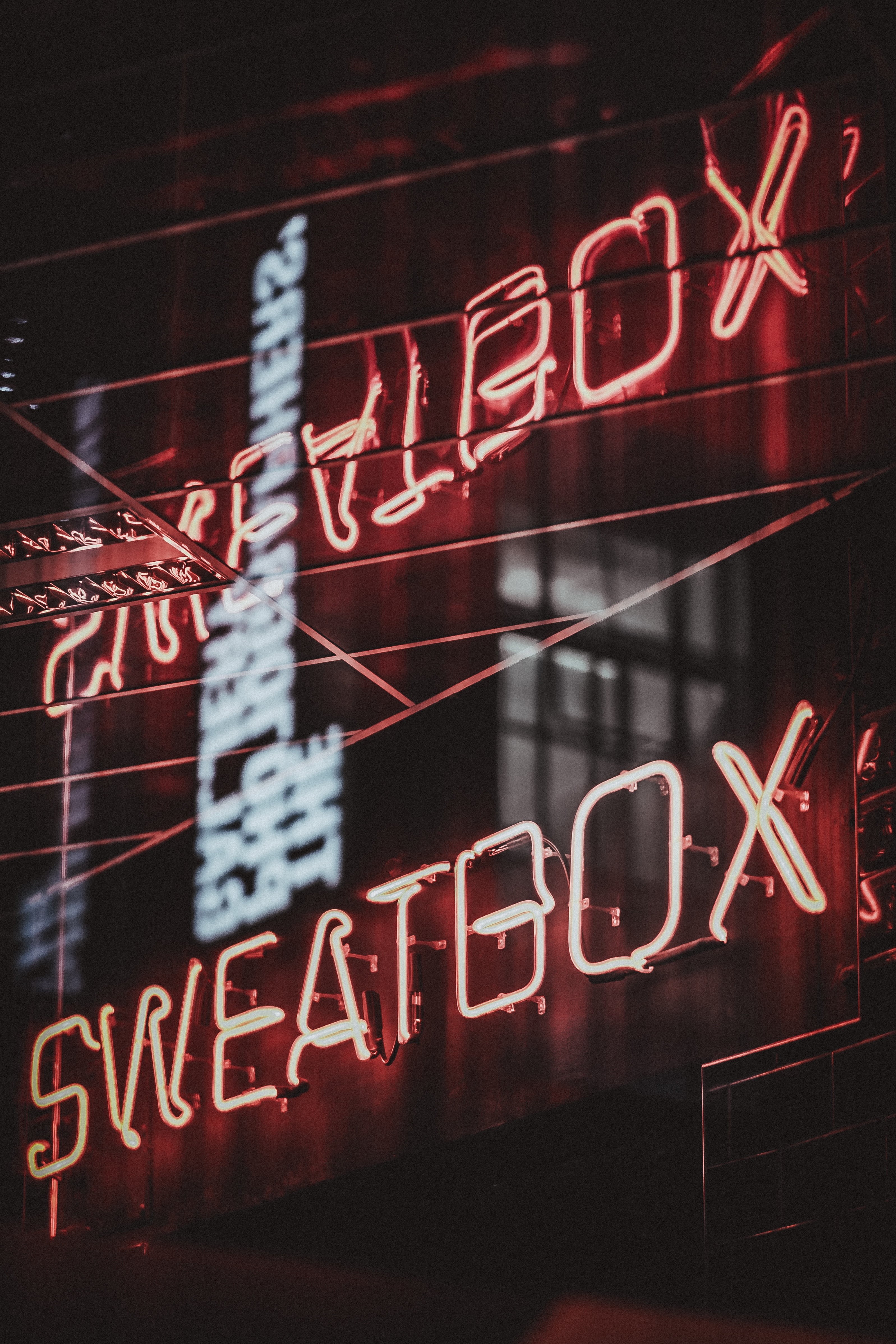 script, information, close-up, sign, information sign, illuminated, advertisement, night, western script, wire, text, dark, signage, communication, neon Light, Phone HD Wallpaper