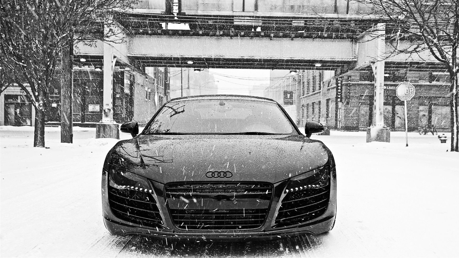 winter, audi r8, audi, r, snow, 1080P, front view, hd, white, black, black and white, HD Wallpaper