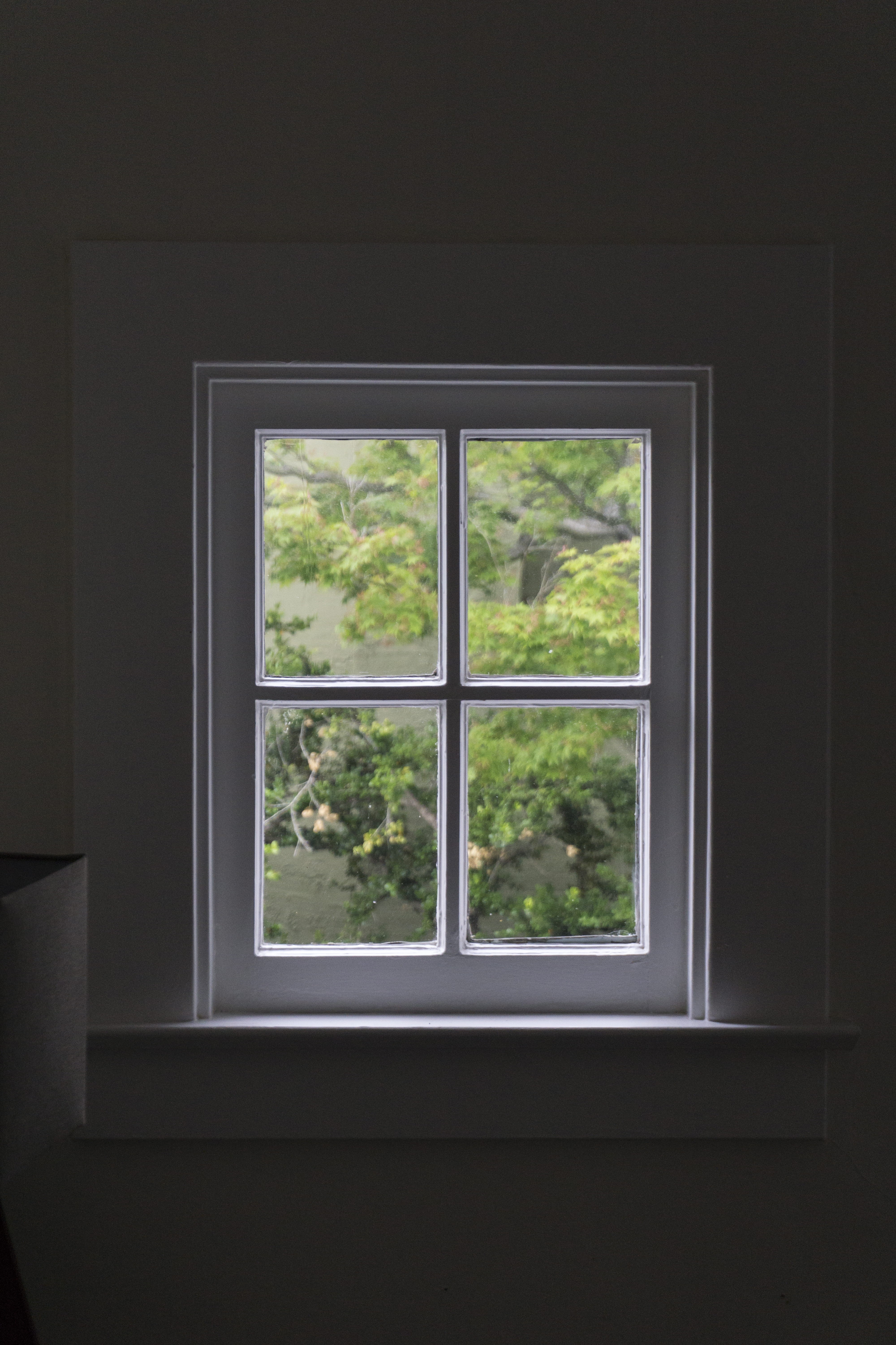 day, minimalistic, plant, pane, frame, wall, gray, indoors, peace, tree, interior, room, garden, window frame, indoor, looking out, glass - material, blur, Phone HD Wallpaper
