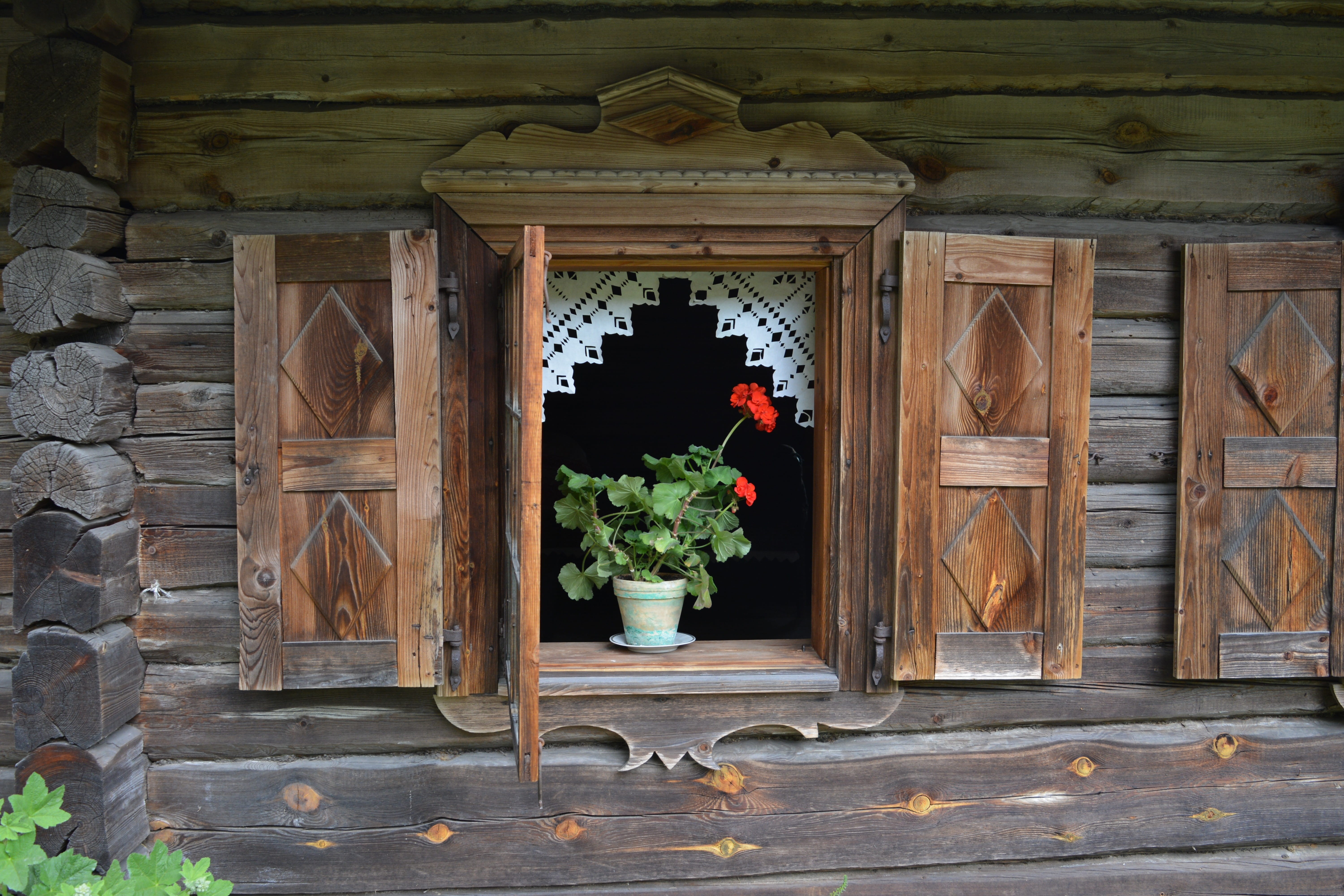 brown, 5K, built structure, architecture, wood - material, Architecture, day, outdoors, door, building, window, countryside, flowering plant, Museum, rumsiskes, HD Wallpaper