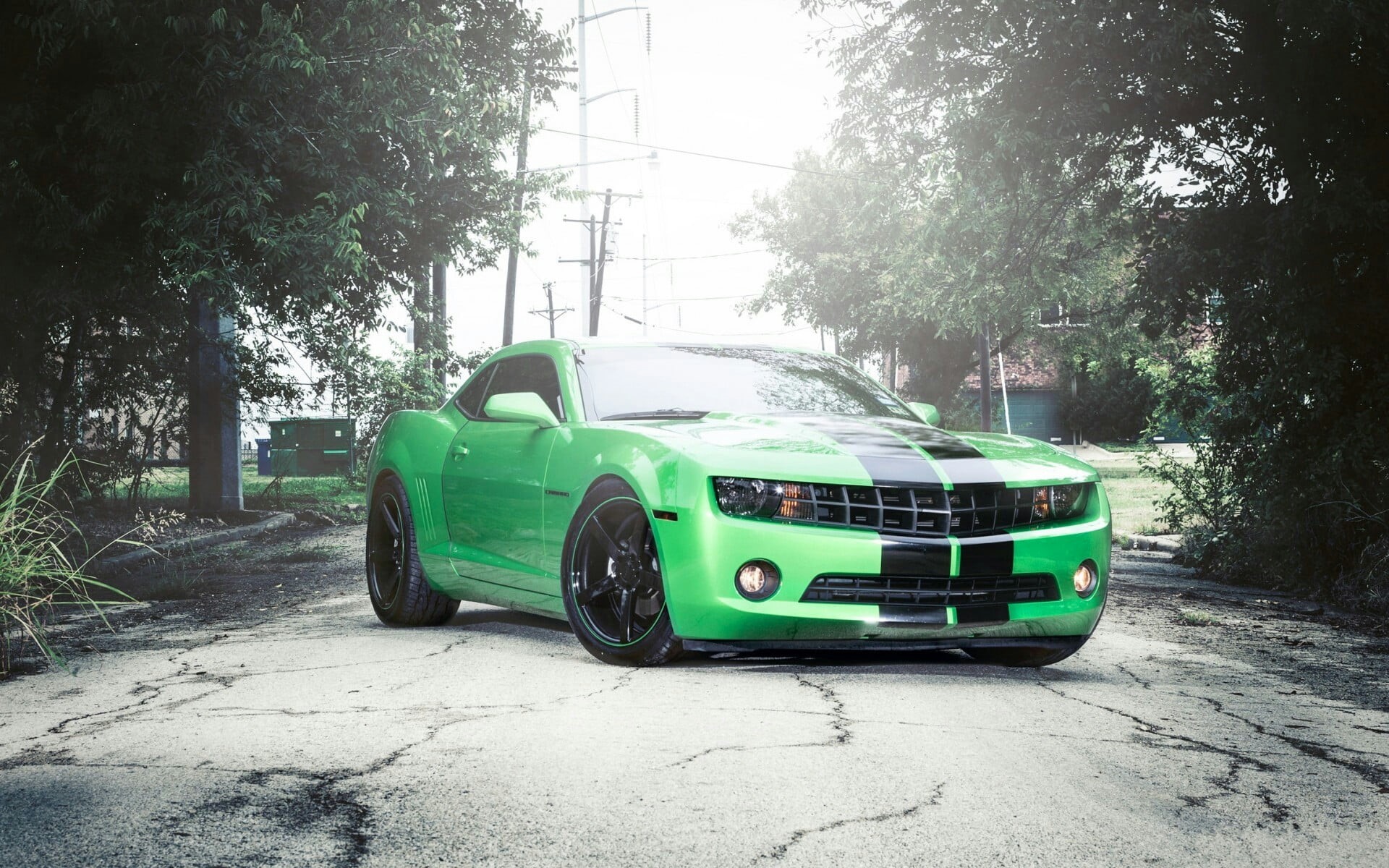 outdoors, plant, no people, black, car, travel, nature, built structure, 1080P, Chevrolet, garage, tree, vintage car, retro styled, architecture, green color, HD Wallpaper