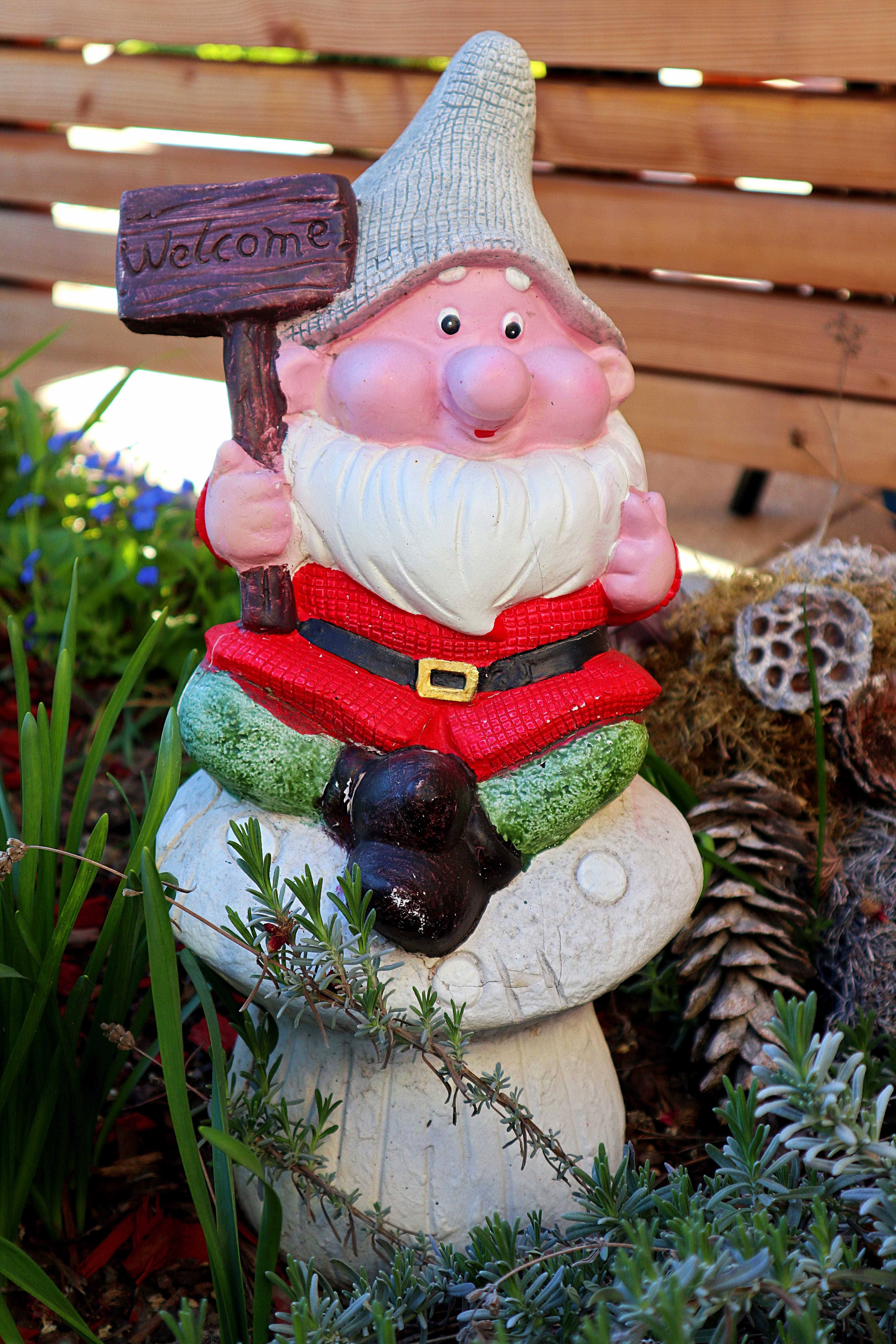 santa claus, sweet, toy, clothing, craft, male likeness, plant, imp, oblique, spring imp, 5K, garden gnome, dwarf, summer, decoration, funny, figure, fabric, Phone HD Wallpaper