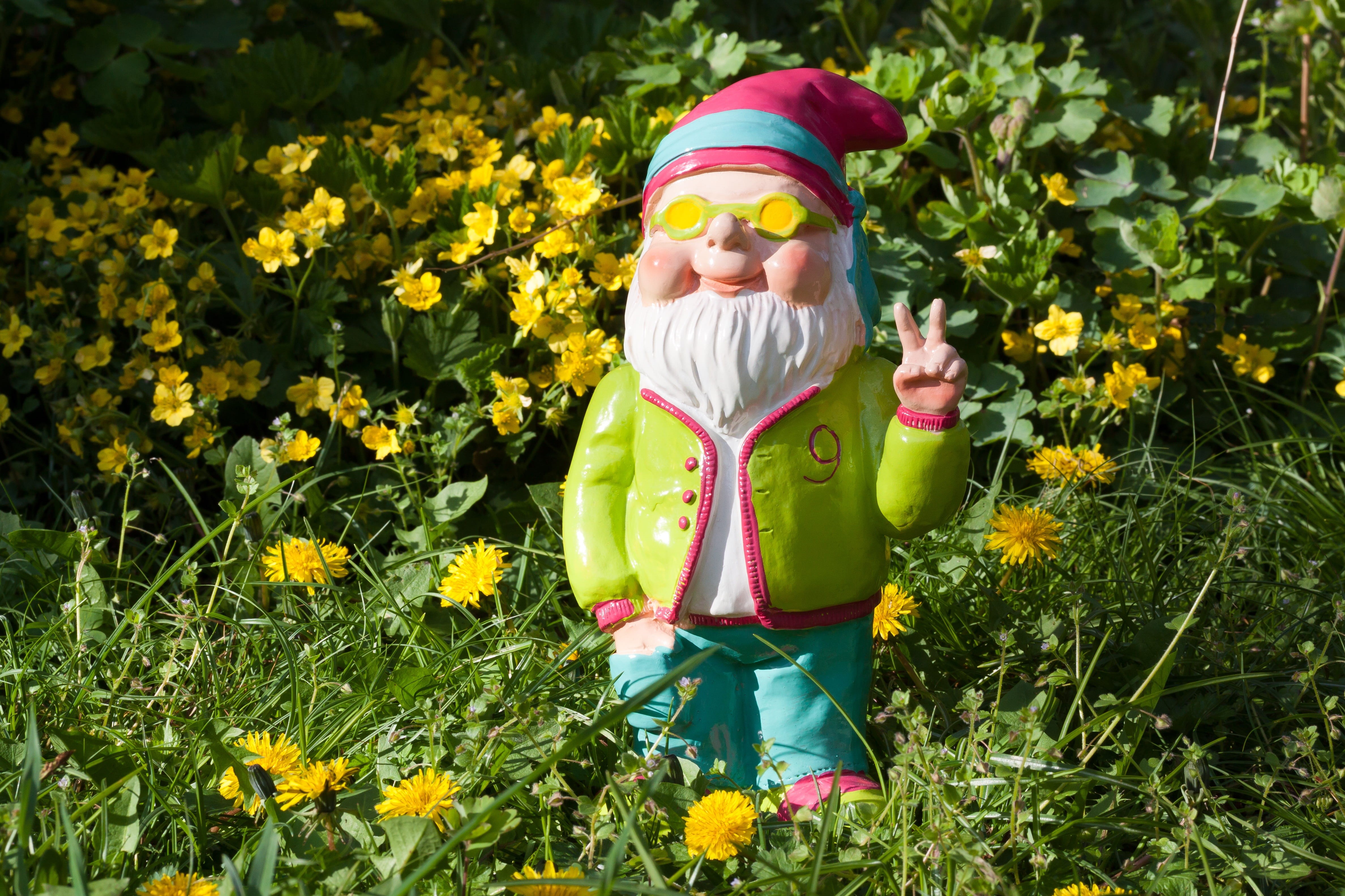 sun, plant, sunglasses, dwarf, lifestyles, nature, three quarter length, colorful, freshness, peace, mood, pink, spring, flower head, field, 4K, oblique, HD Wallpaper