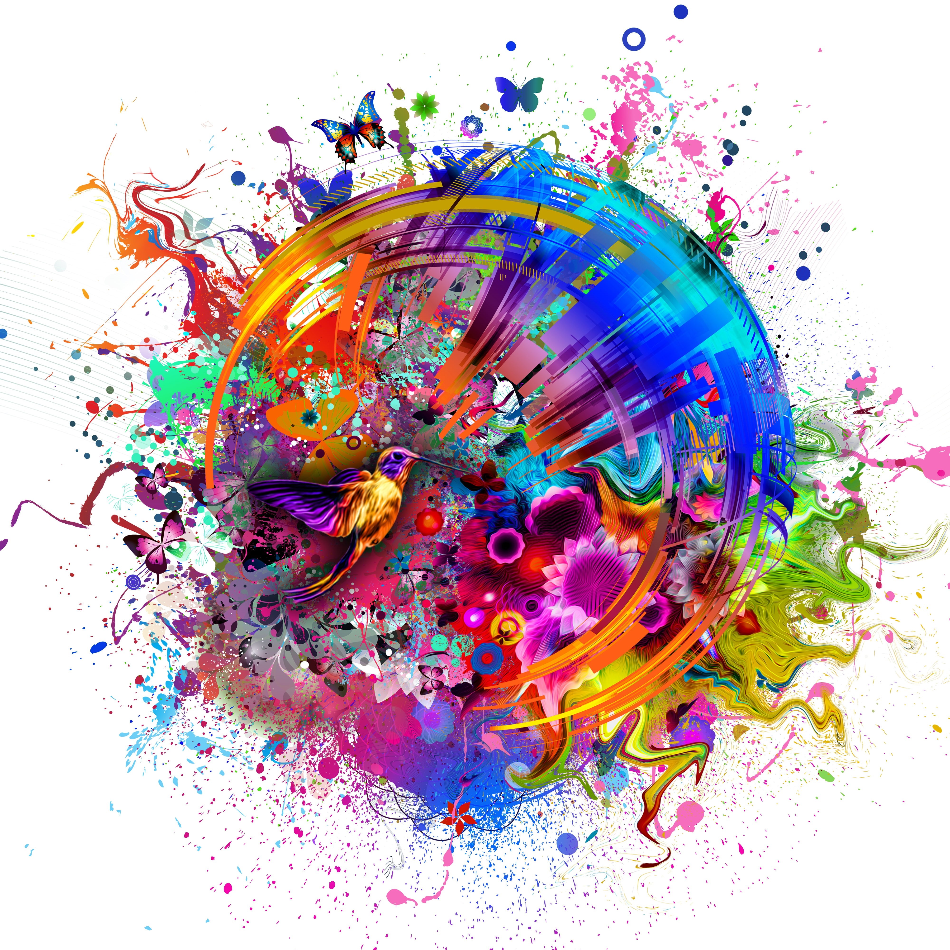 flashy, 4K, Colors, bird, Phone HD Wallpaper