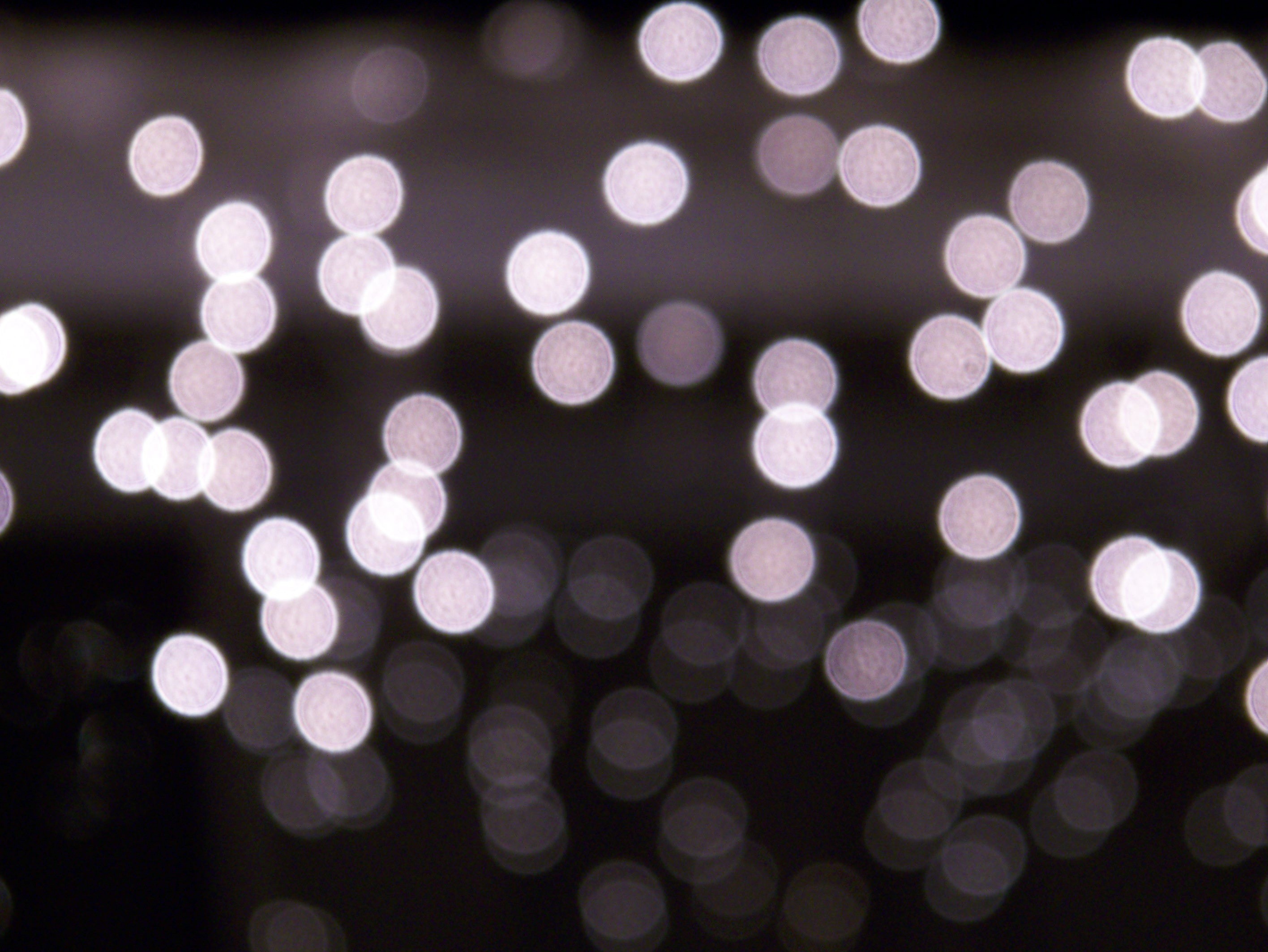 december, electricity, blur, xmas, season, shiny, photography, twinkle, celebration, light - natural phenomenon, holiday, shape, circle, full frame, illuminated, HD Wallpaper