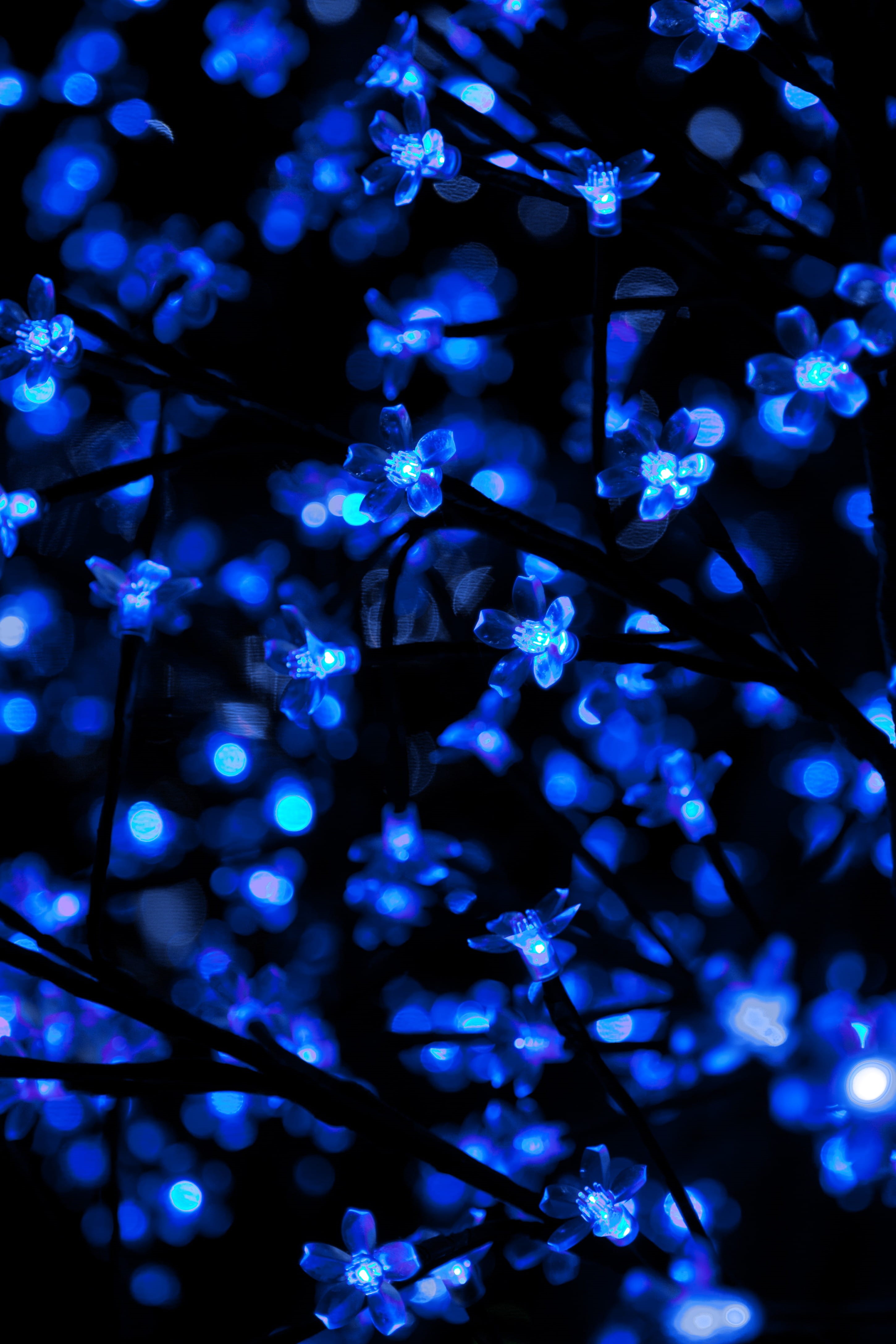 pattern, holiday, seasonal, christmas, texture, branch, abstract, shine, tree, string, decoration, decor, futuristic, close-up, outdoors, beauty in nature, Phone HD Wallpaper
