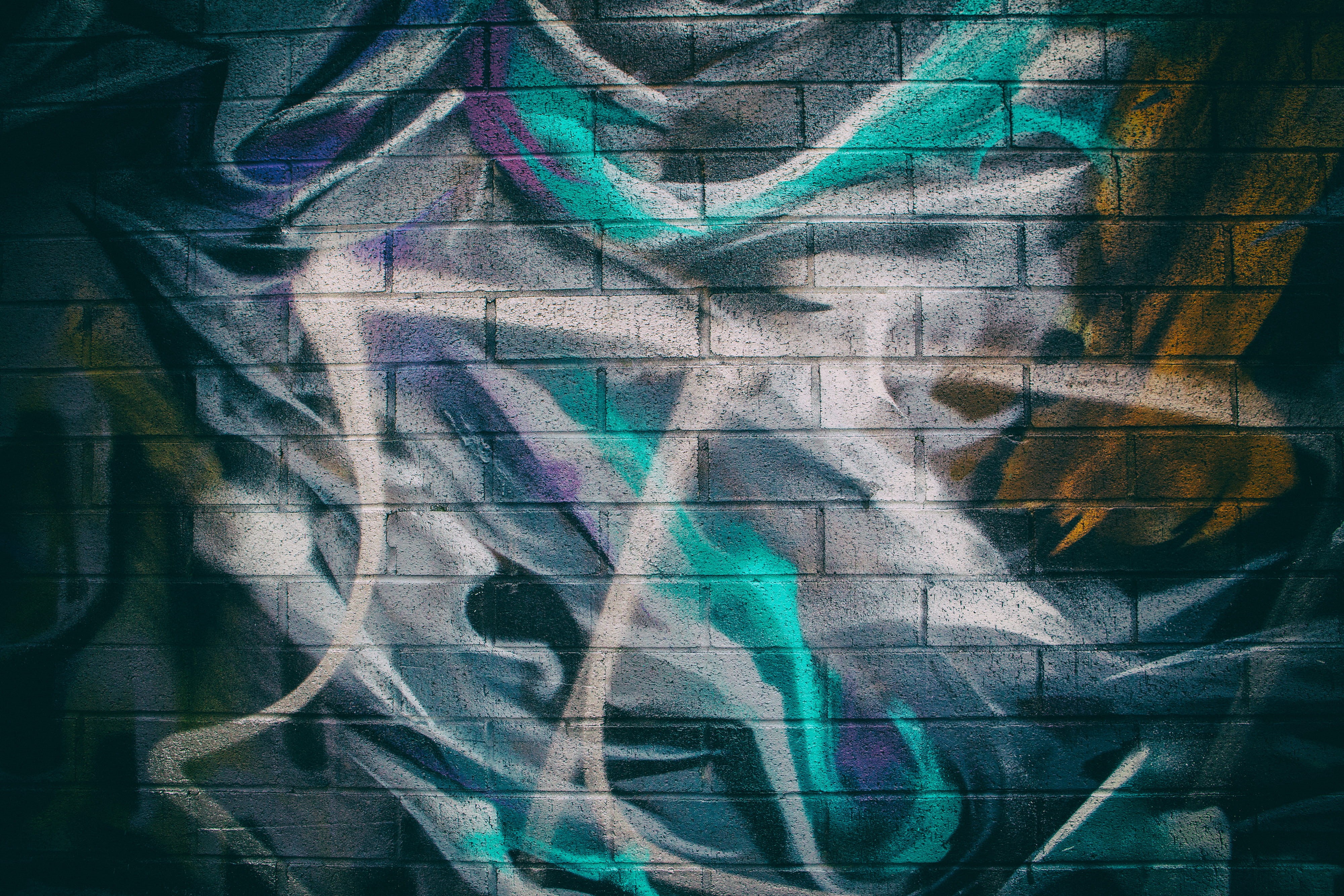 close, Brooklyn, Williamsburg, day, backgrounds, brick, message, communication, paint, people, spray paint, wall, text, textures, graffiti, Close-up shot, HD Wallpaper