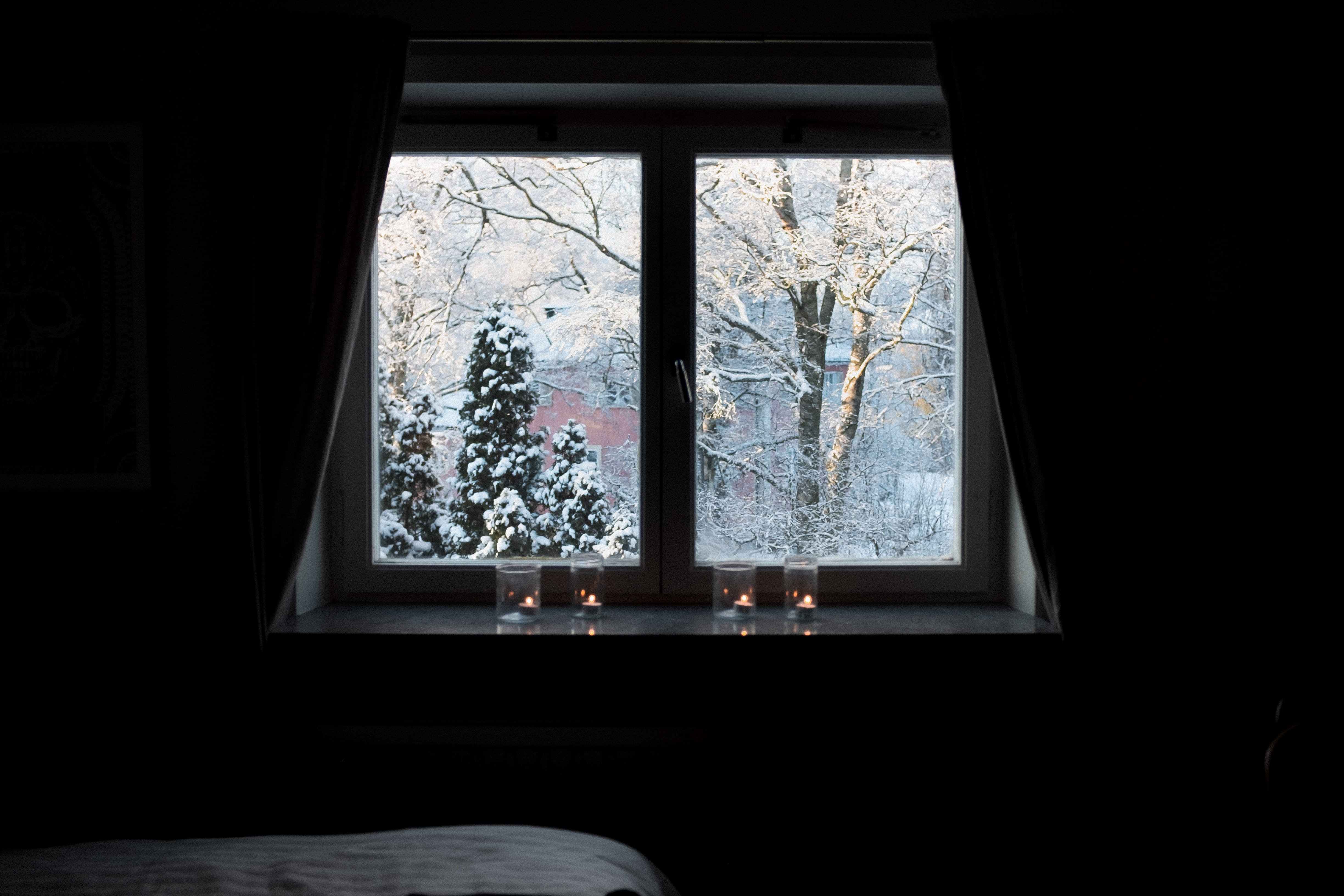 bare tree, fir, brown, dark, blossom, domestic room, wheel, flower, machine, architecture, cold temperature, furniture, indoors, nature, picture window, HD Wallpaper