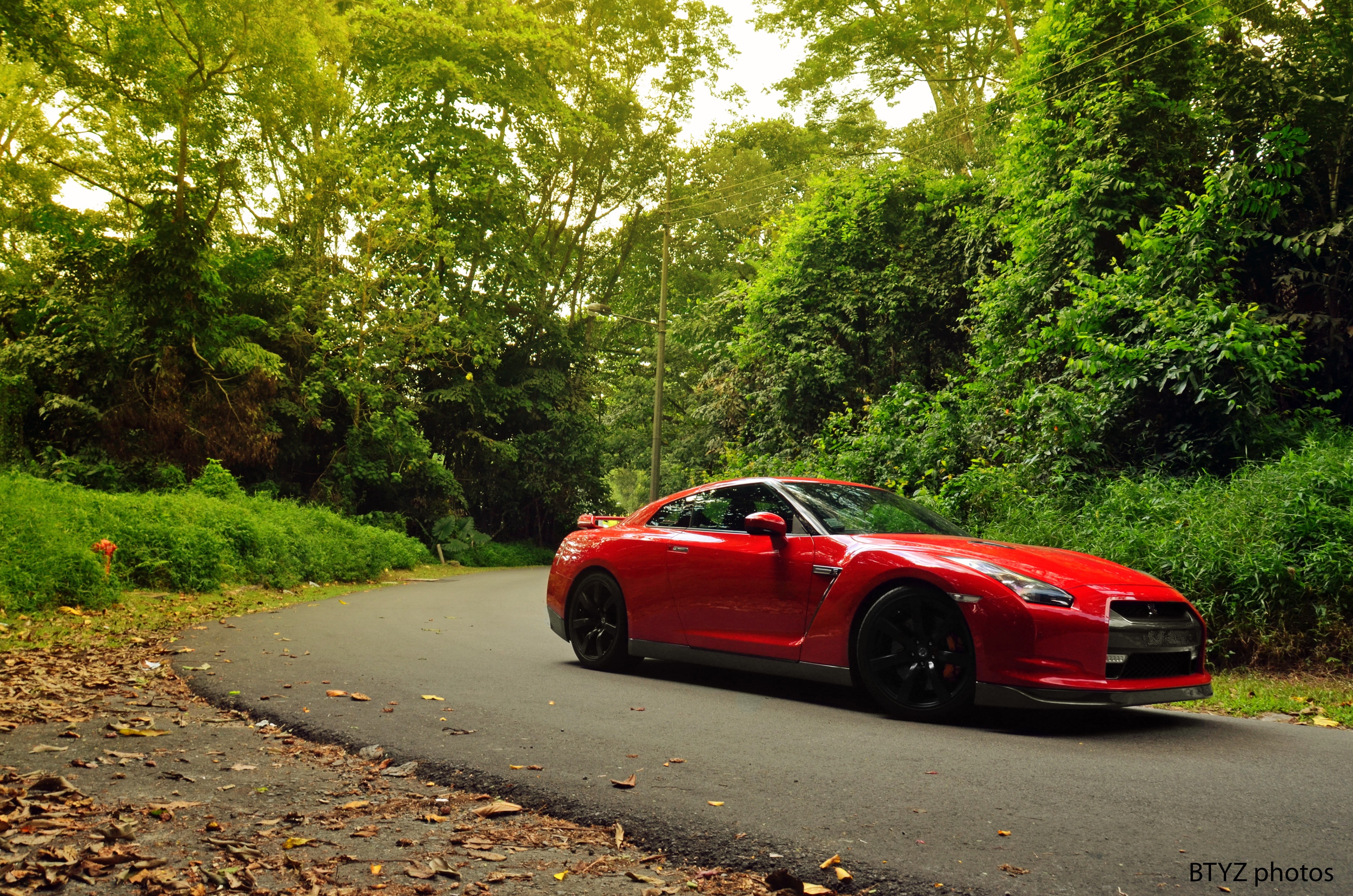 city, red, growth, Nissan Skyline GT-R R34, tree, Nissan, transportation, plant, mode of transportation, road, day, forest, Nissan Skyline GT-R R33, street, HD Wallpaper