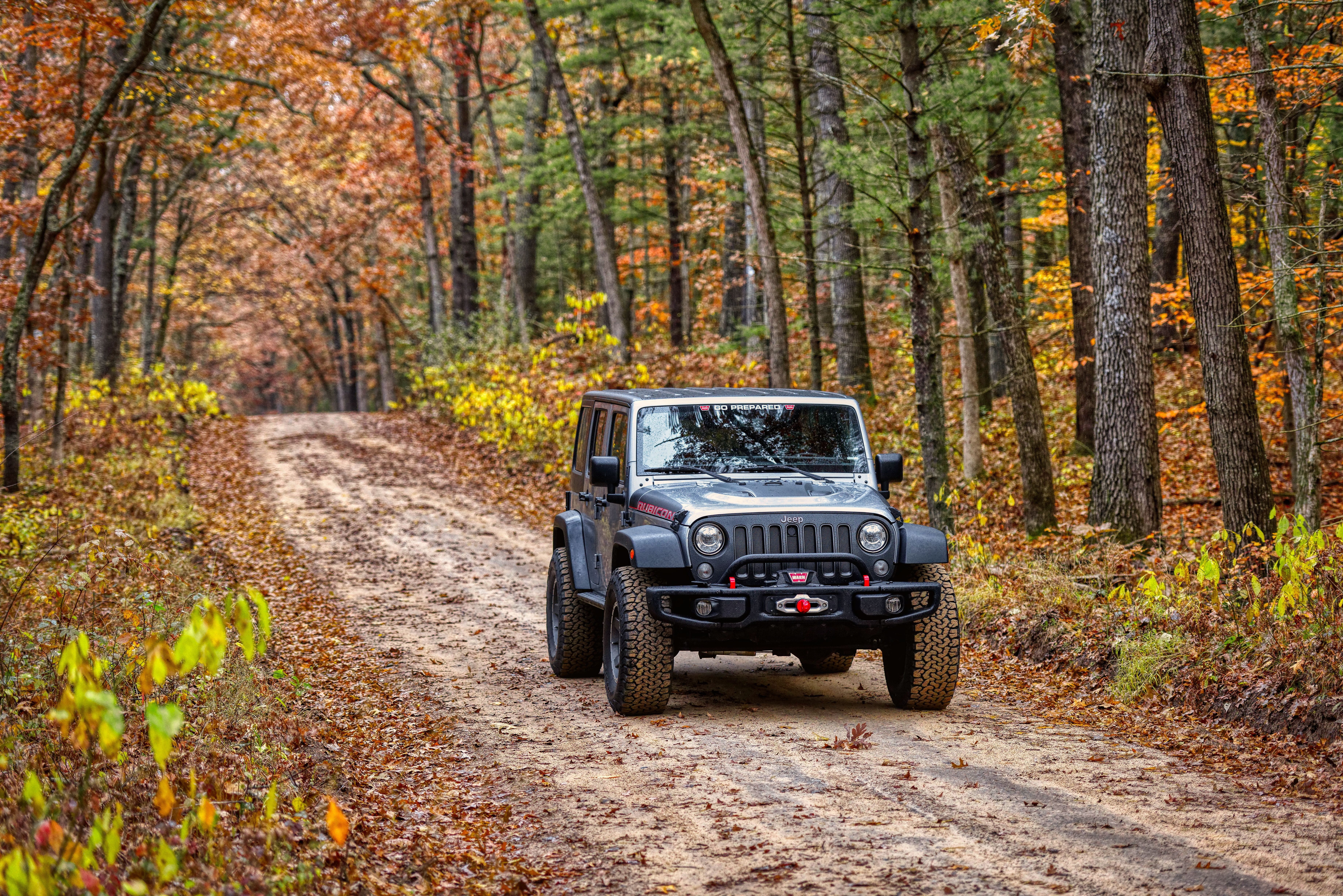 woodland, change, rubicon, vehicle, fall, jeep, offroad, plant part, transportation, gravel, unites states, tree, 5K, scenics - nature, gray, day, wheel, HD Wallpaper