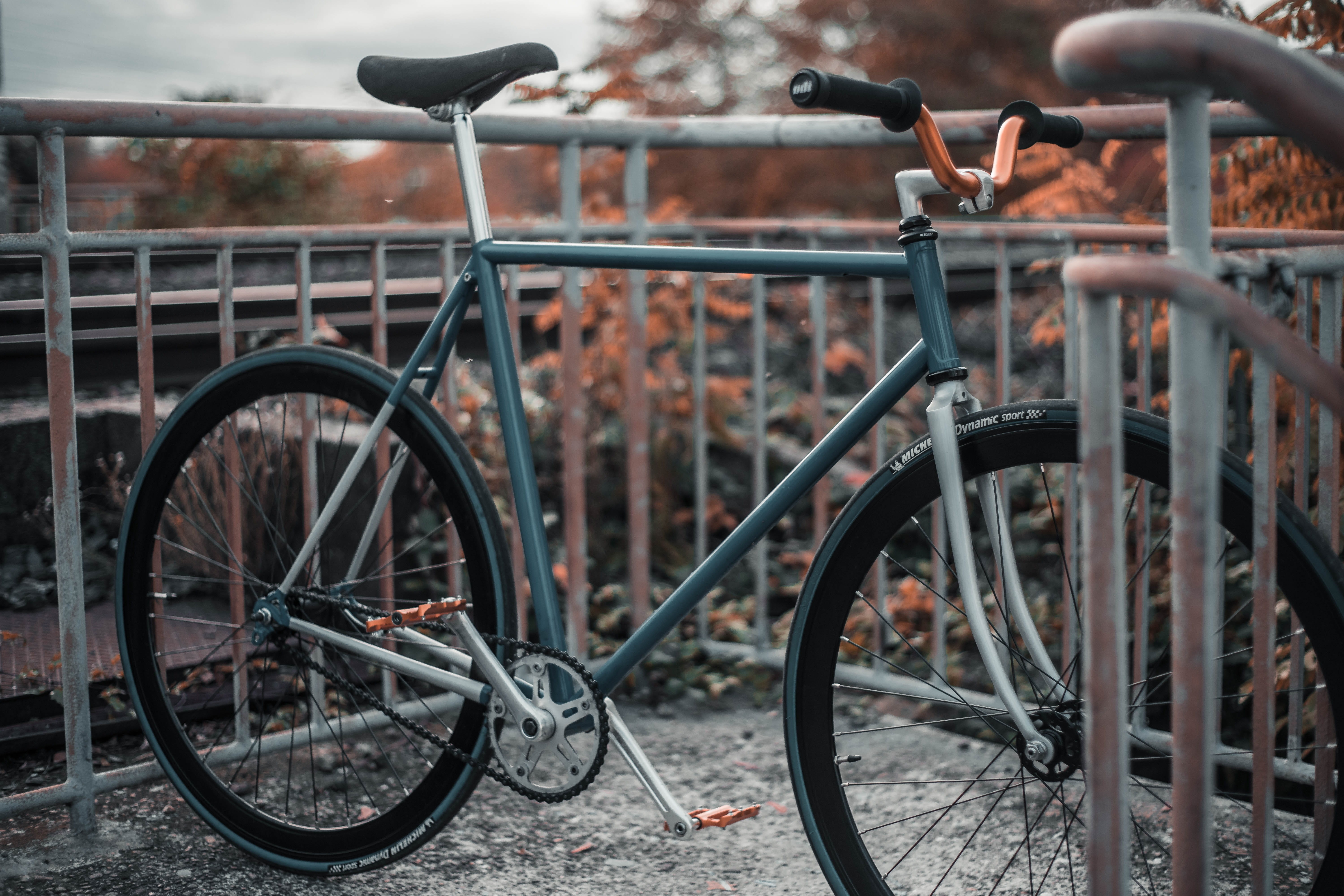 bike, vehicle, tire, stationary, tree, transportation, nature, focus on foreground, architecture, strasbourg, style, hipster, selective focus, land vehicle, HD Wallpaper