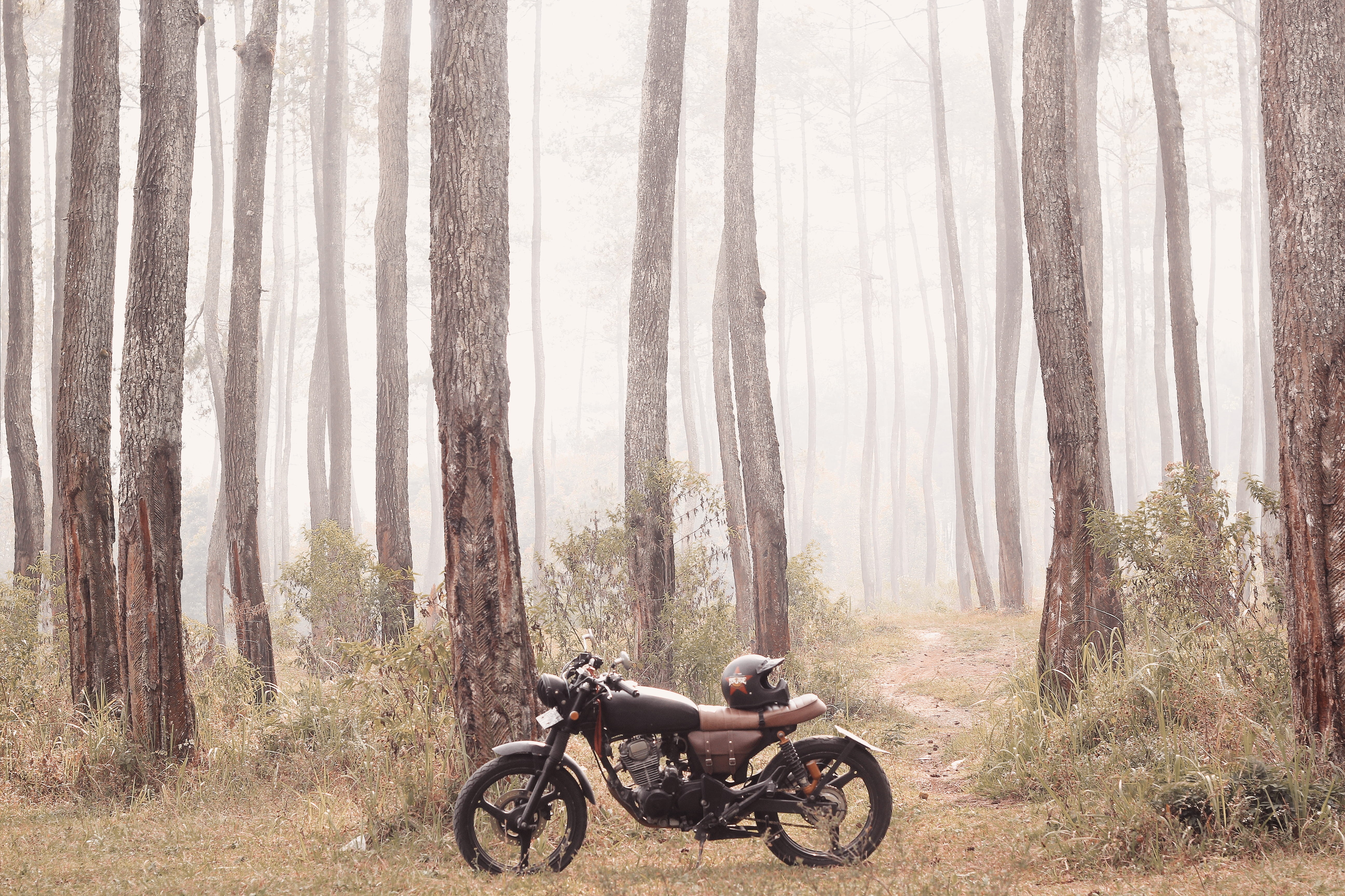 brown, road, spoke, building, tracker, vehicle, tree trunk, 5K, travel, tranquility, engine, day, motor, black, parked, tire, scenics - nature, nature, HD Wallpaper