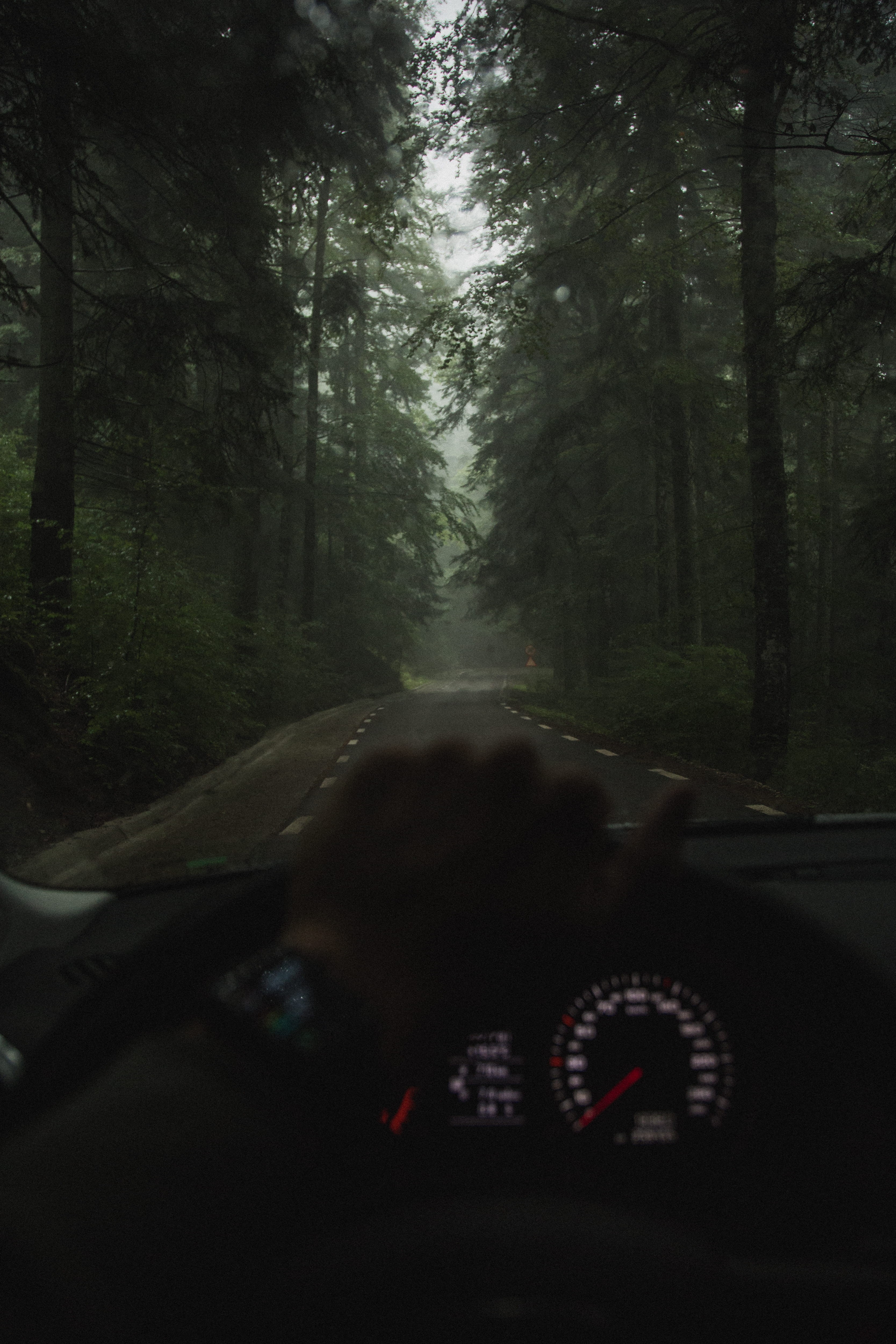 taking, people, people Traveling, land Vehicle, one Person, roadtrip, fog, photo, street, overcast, stormy, friend, night drive, drive, outdoors, forest view, Phone HD Wallpaper