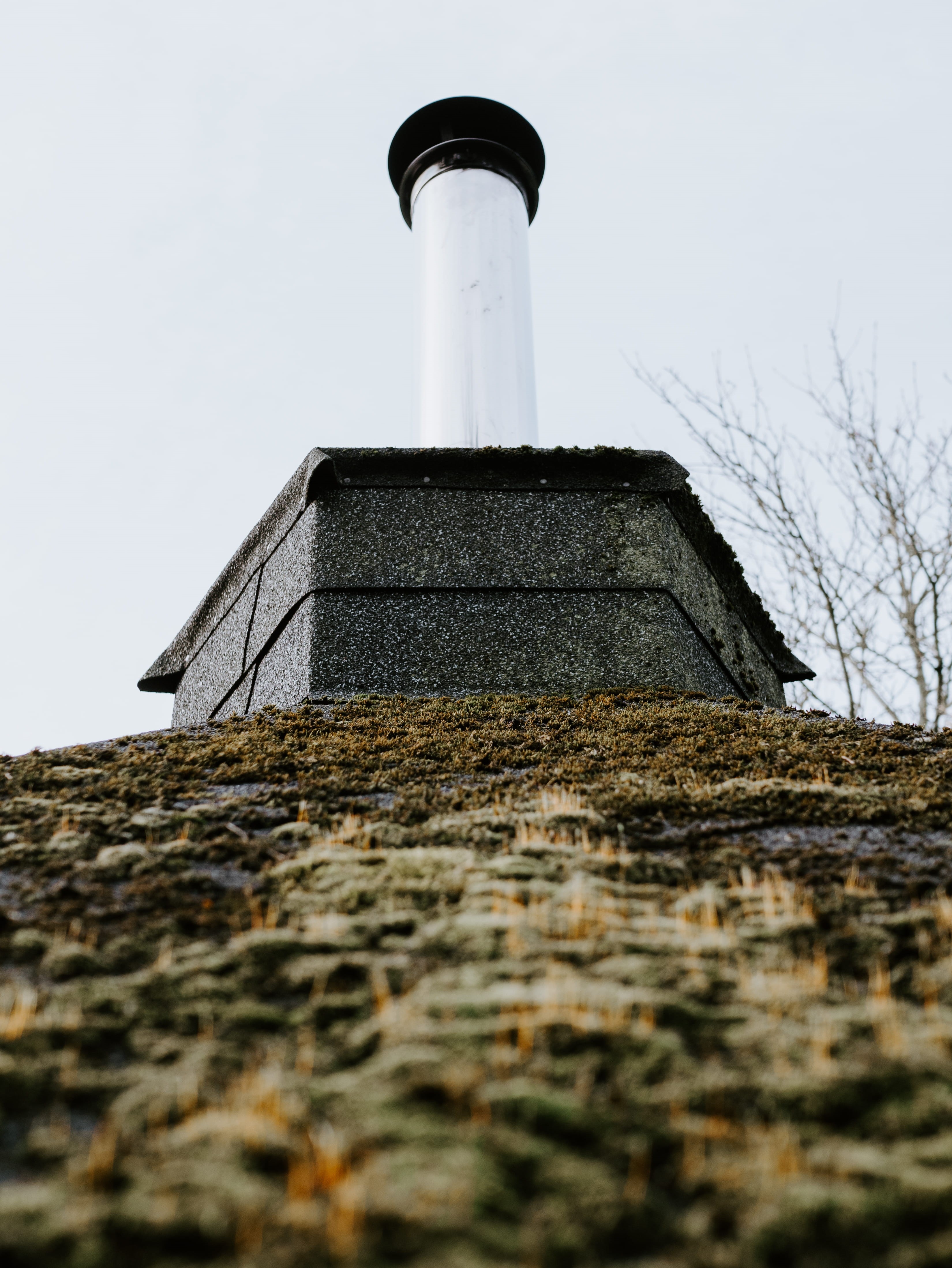day, nature, roof, silver, building exterior, garden, brown, lichen, trees, lighthouse, outdoors, roof tile, window, building, moss, leaves, hideaway, black, Phone HD Wallpaper
