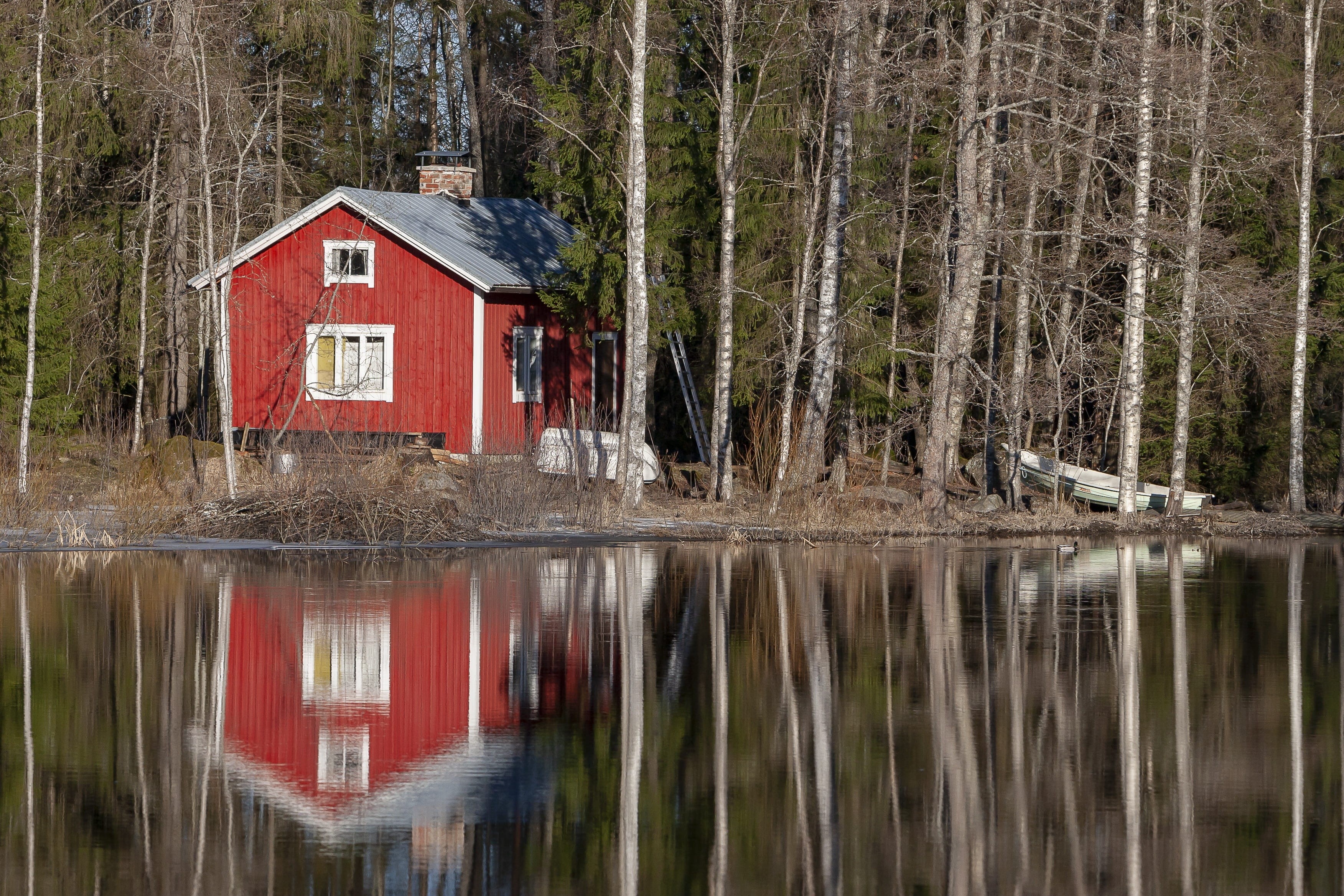 scenics - nature, building feature, sauna cabin, architecture, plant, forest, river, red, beauty in nature, reflection, built structure, 2K, outdoors, HD Wallpaper