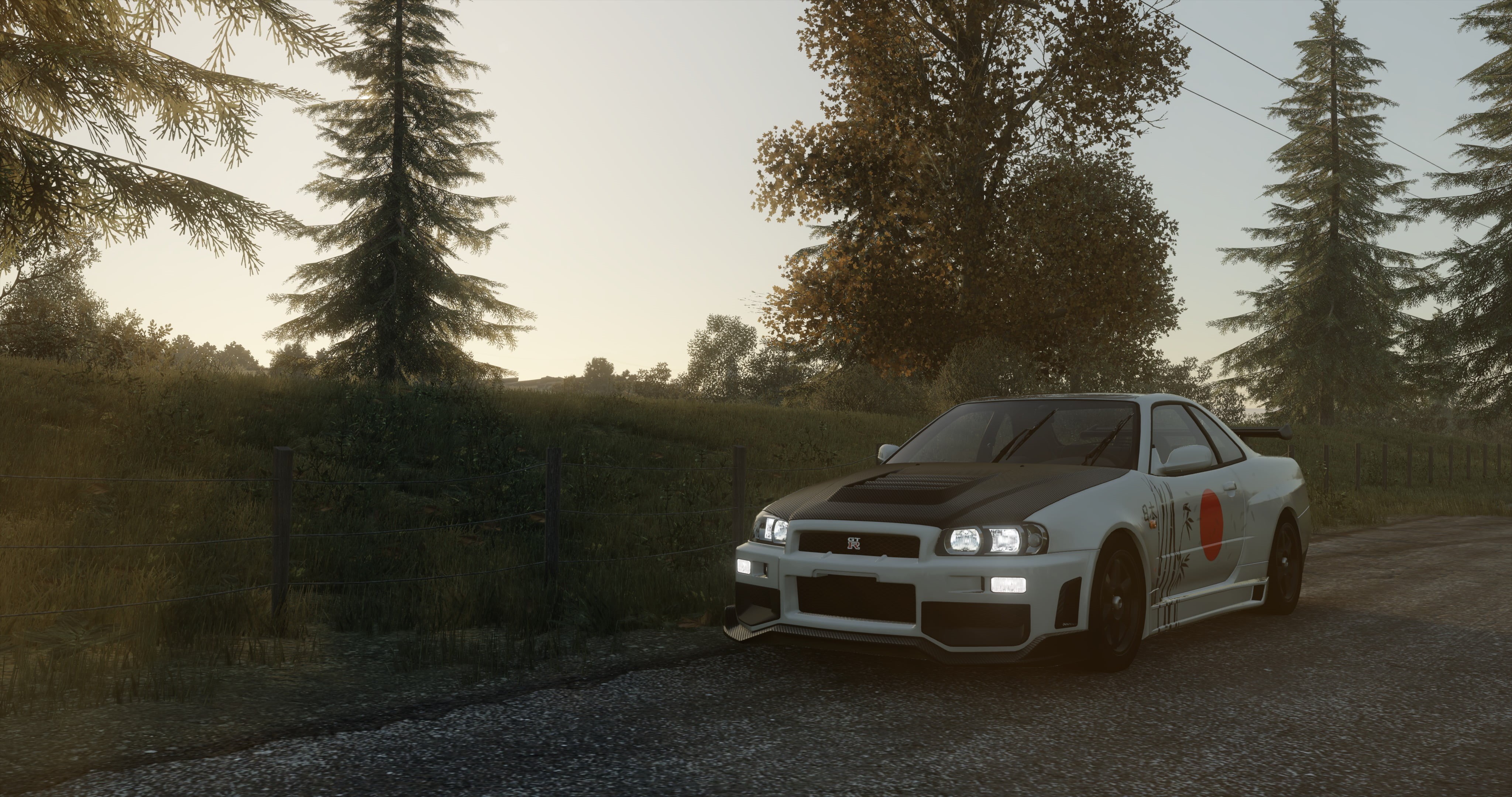 growth, outdoors, Japanese cars, motor vehicle, no people, mode of transportation, Nissan Skyline GT-R R34, road, transportation, 4K, land, road trip, HD Wallpaper