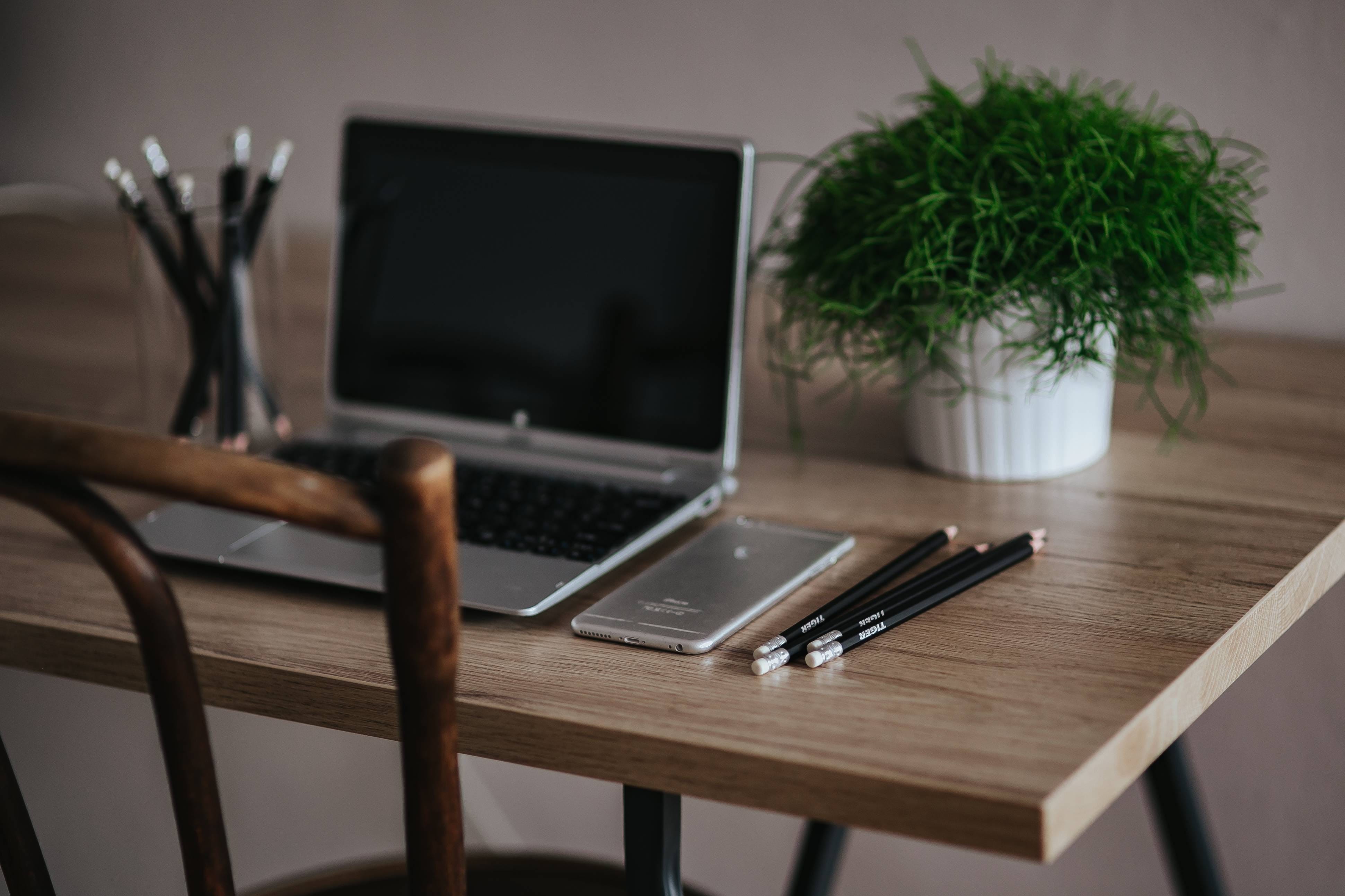 notebook, apple, communication, green plant, nature, digital tablet, connection, no People, table, indoors, business, wood - material, pencils, internet, HD Wallpaper